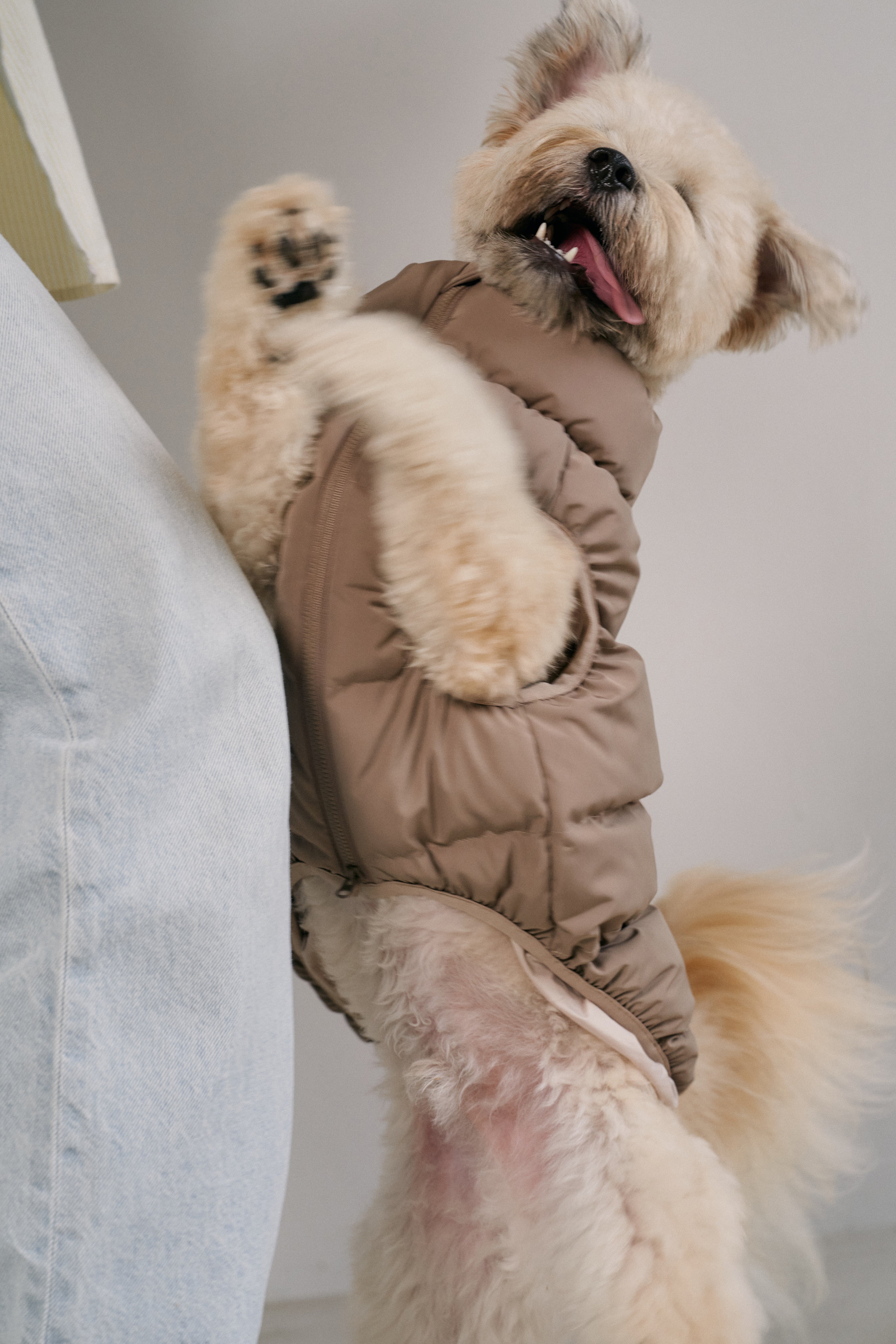 Cushy Puffer Vest | Caffè Mocha