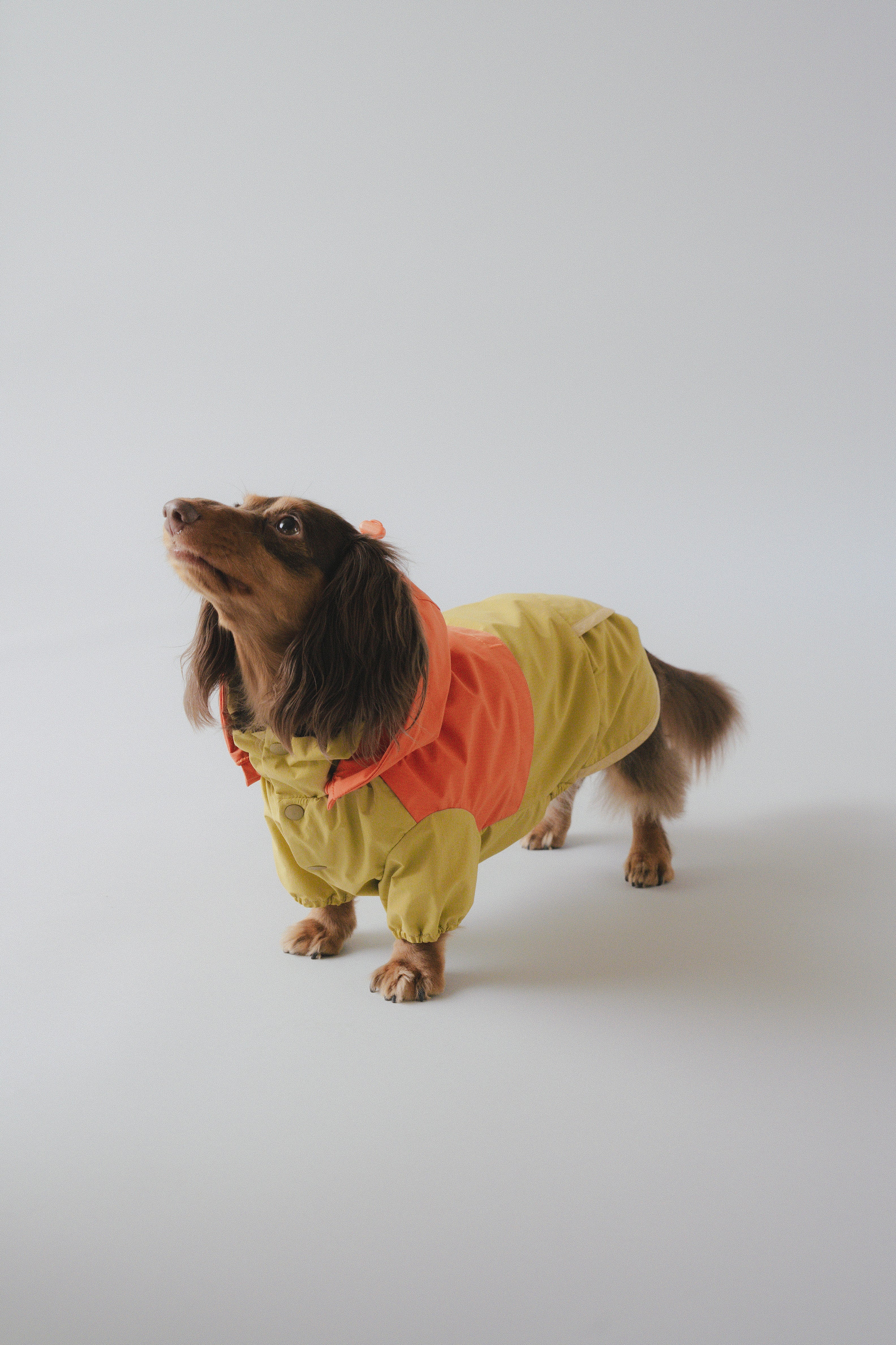 Raincoat All-Weather - Sundown Dance