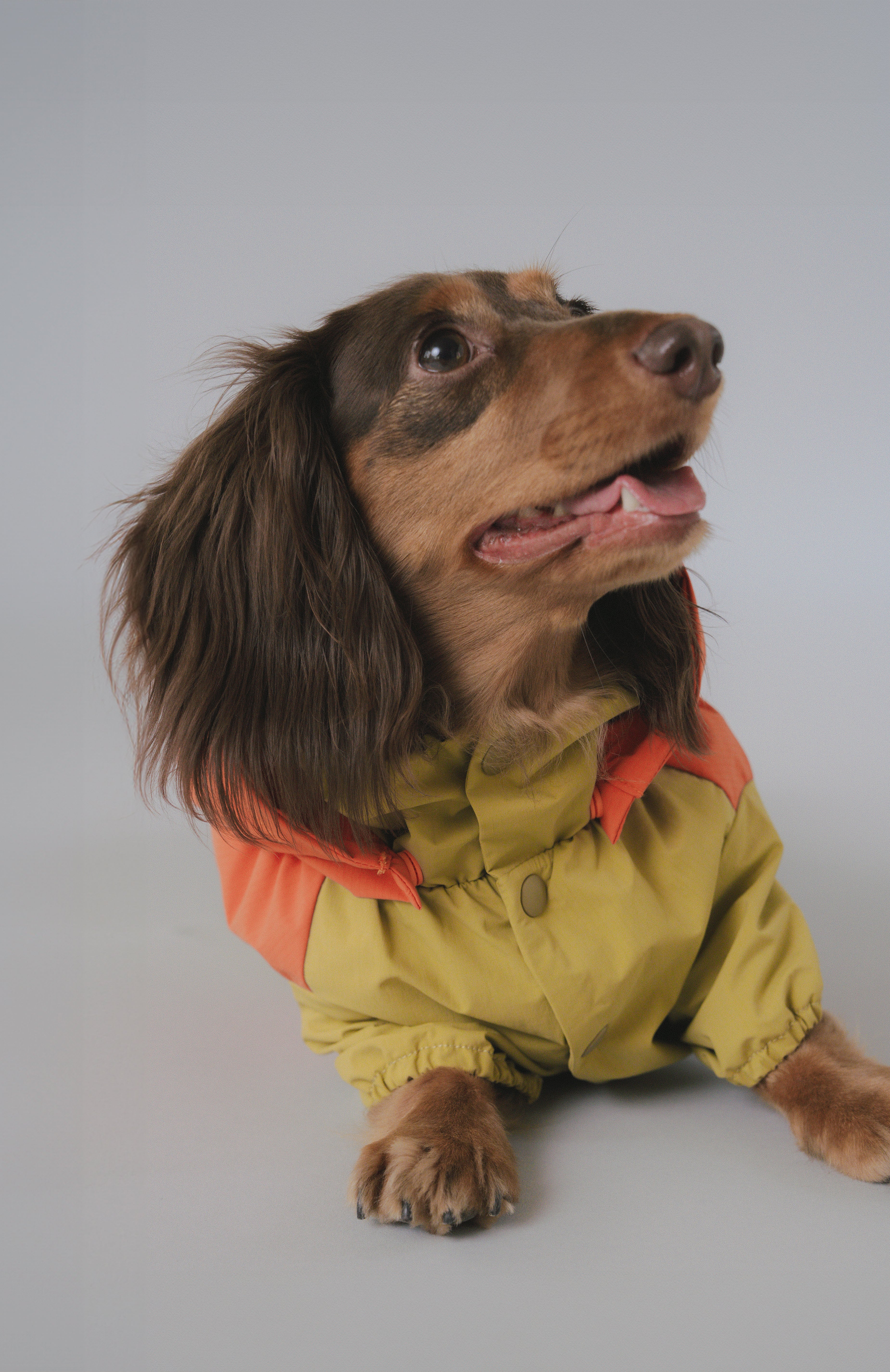 Raincoat All-Weather - Sundown Dance