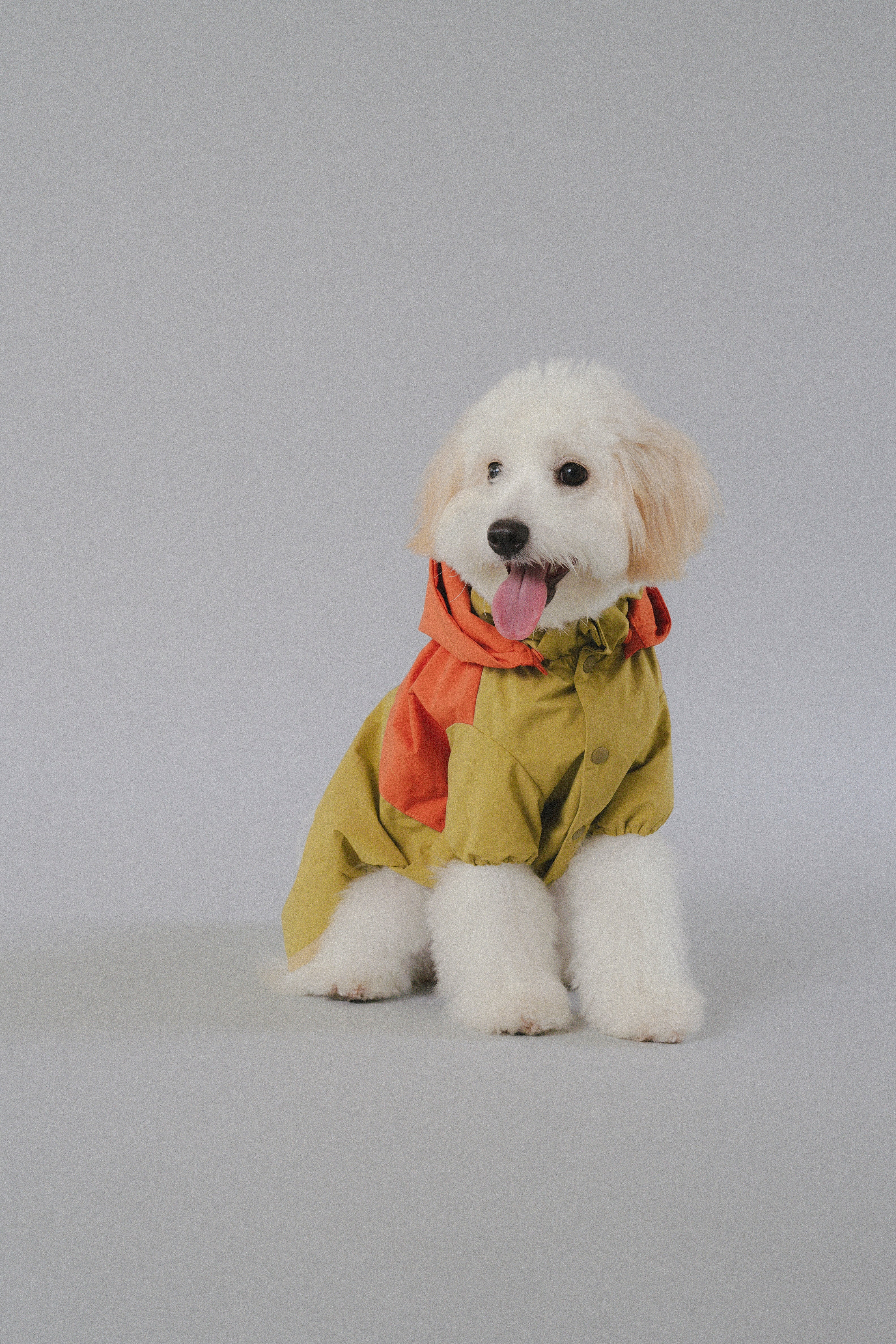 Raincoat All-Weather - Sundown Dance