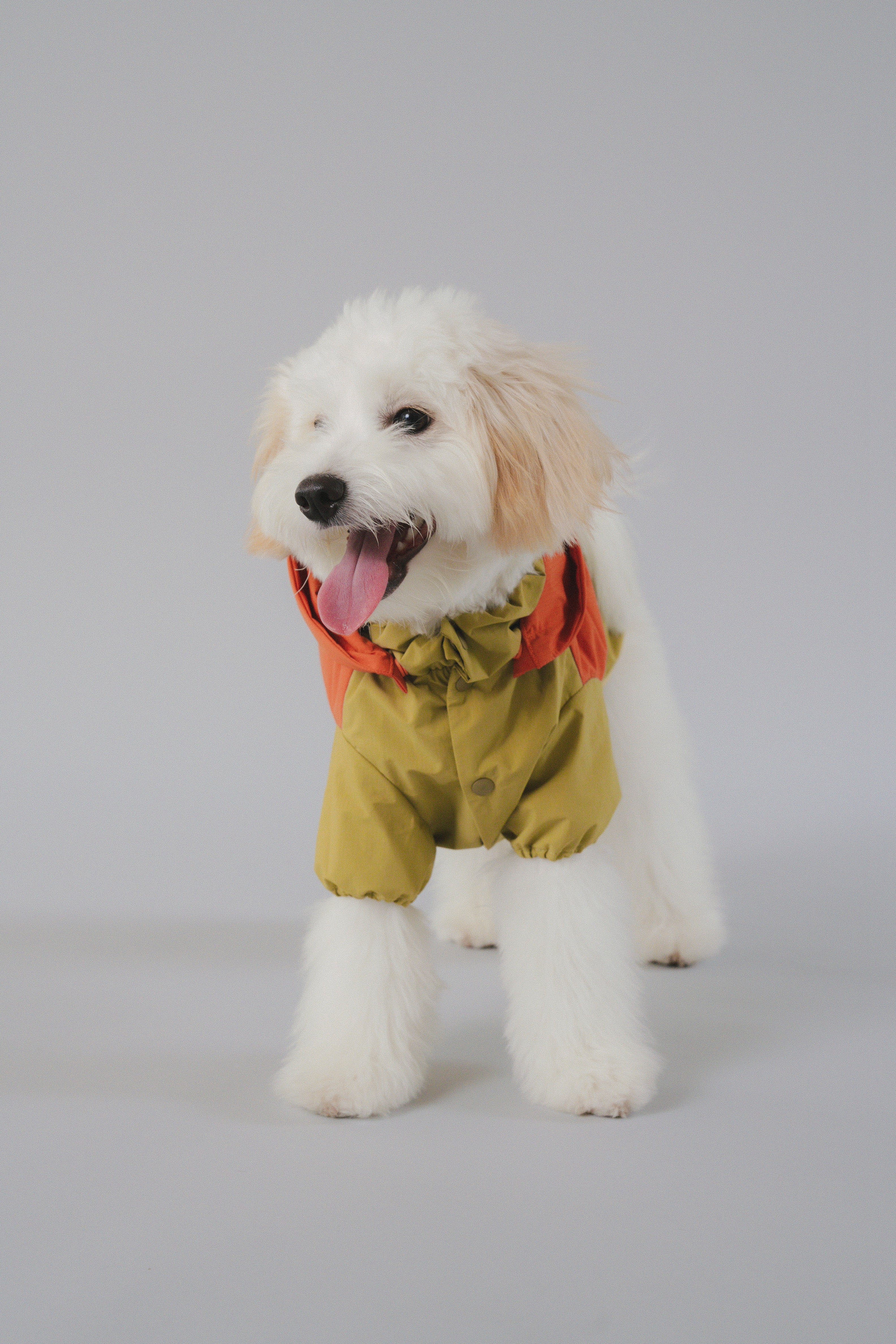 Raincoat All-Weather - Sundown Dance