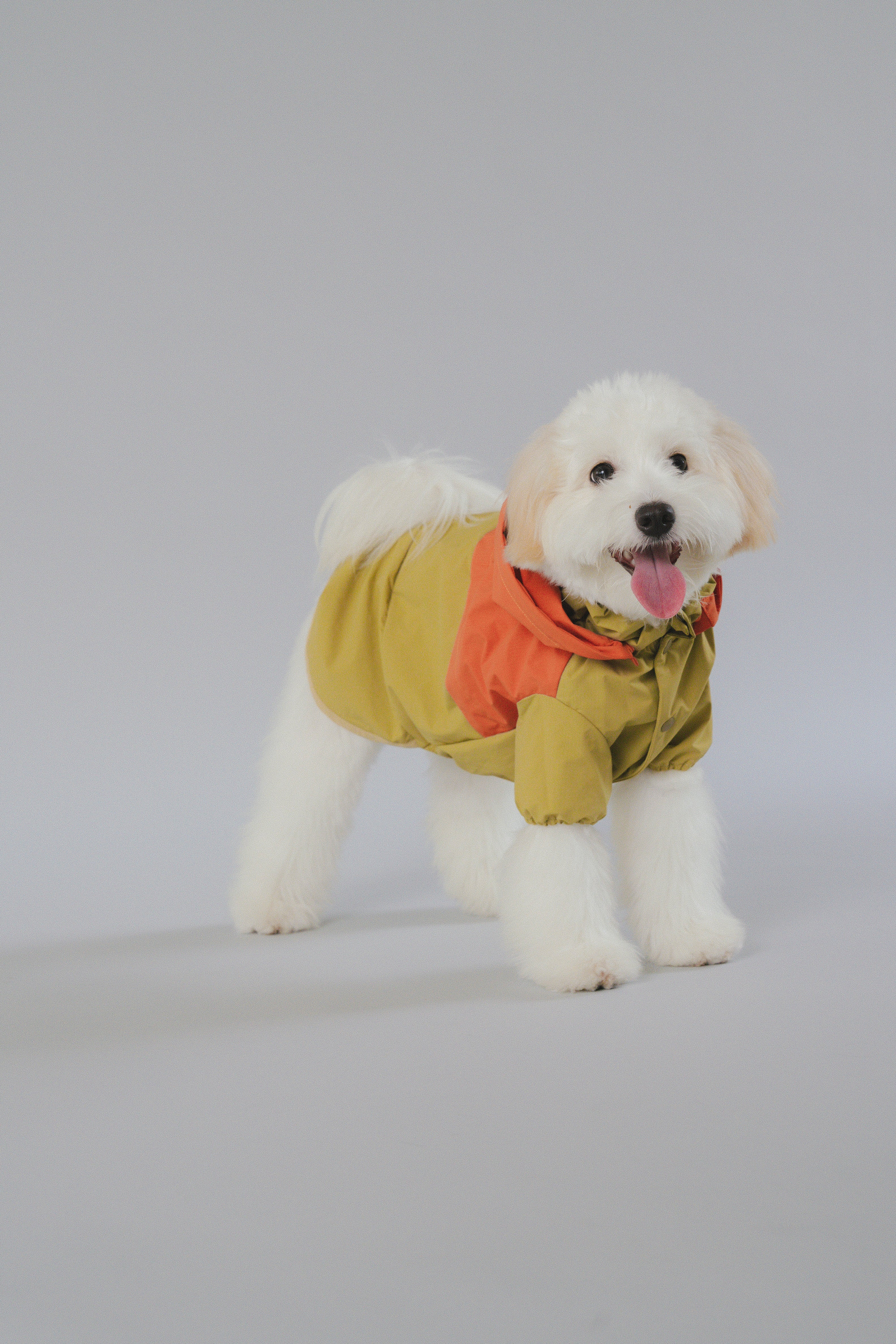 Raincoat All-Weather - Sundown Dance