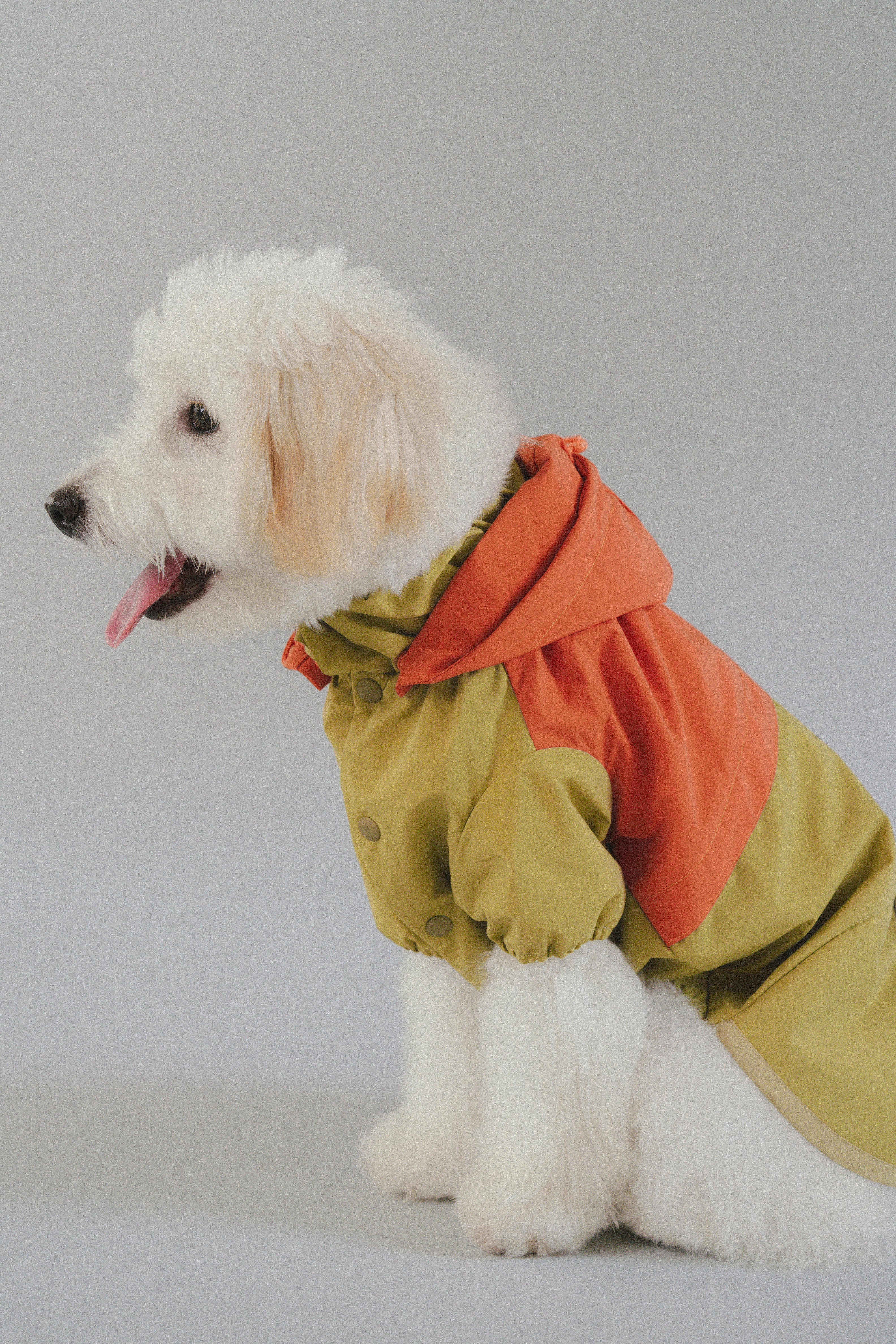 Raincoat All-Weather - Sundown Dance