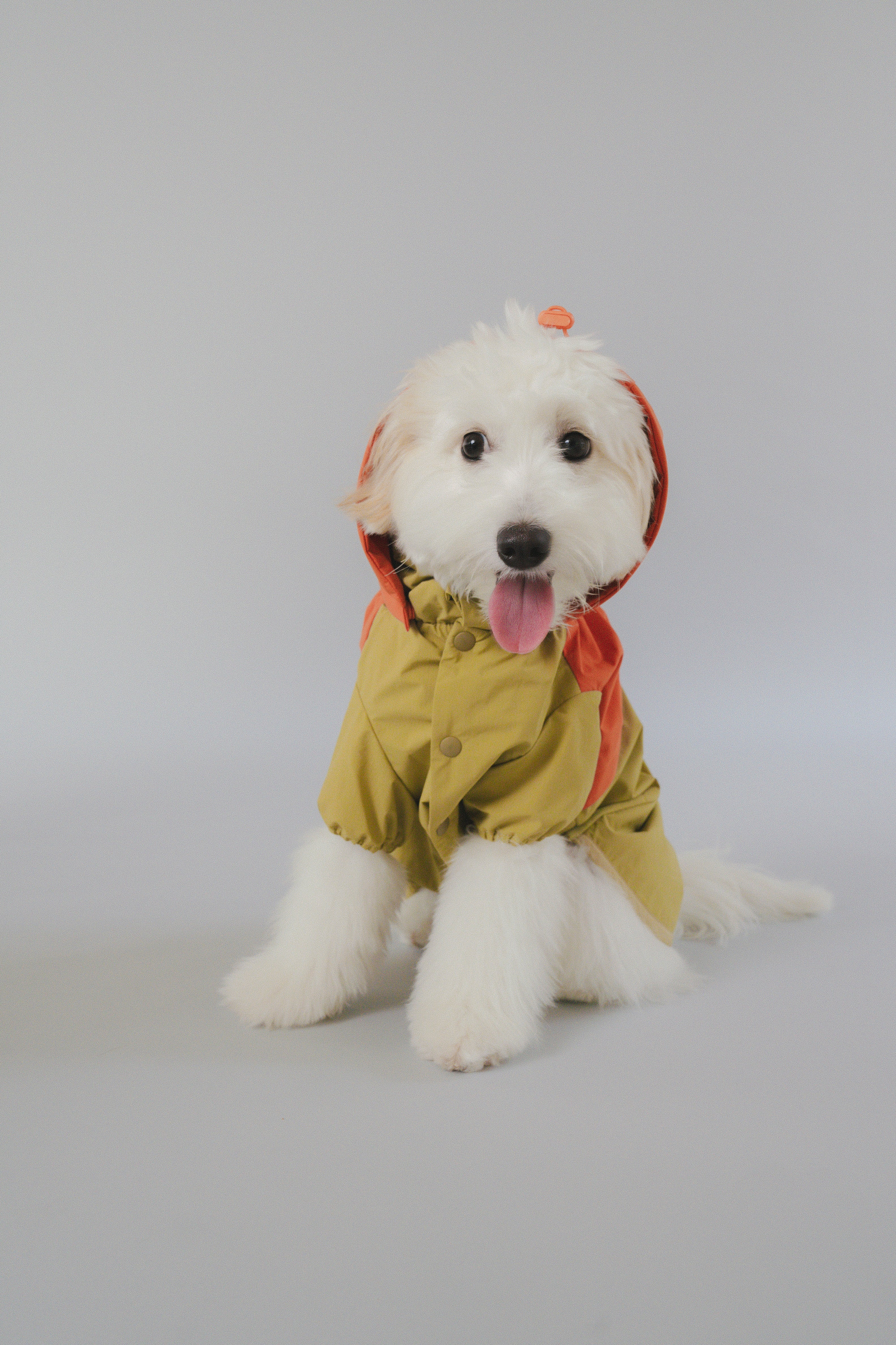 Raincoat All-Weather - Sundown Dance