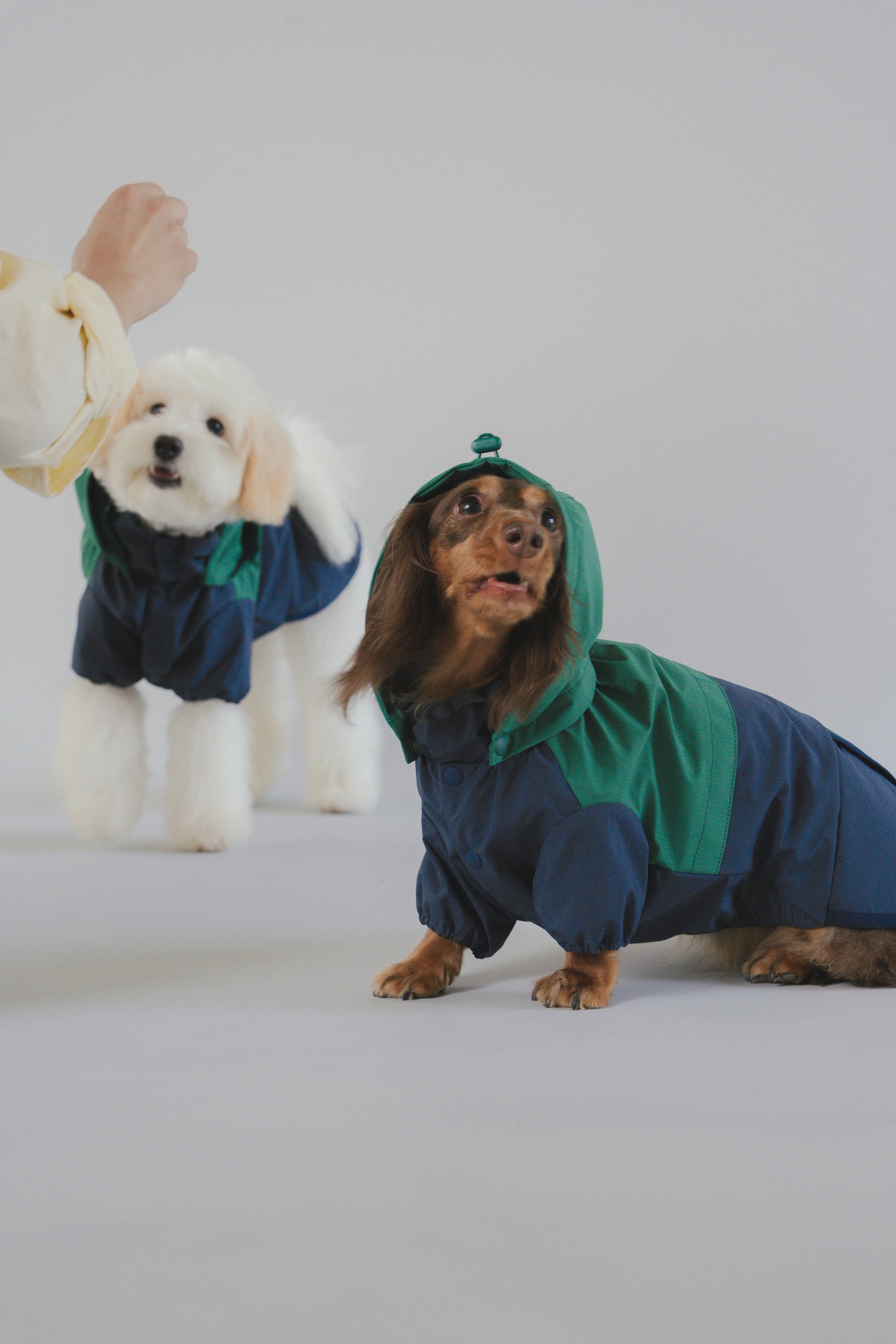 Raincoat All-Weather - Alpine Valleys