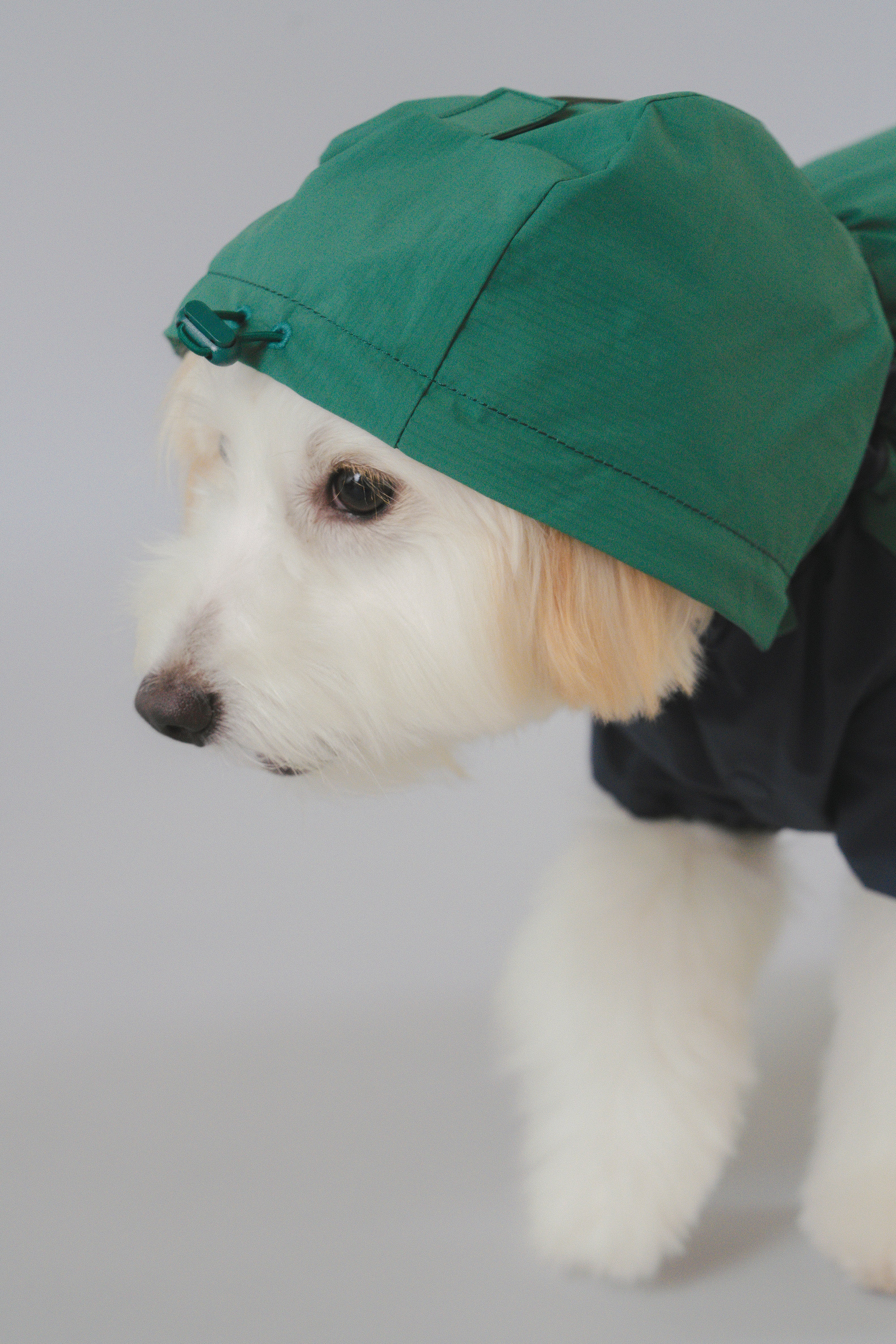 Raincoat All-Weather - Alpine Valleys