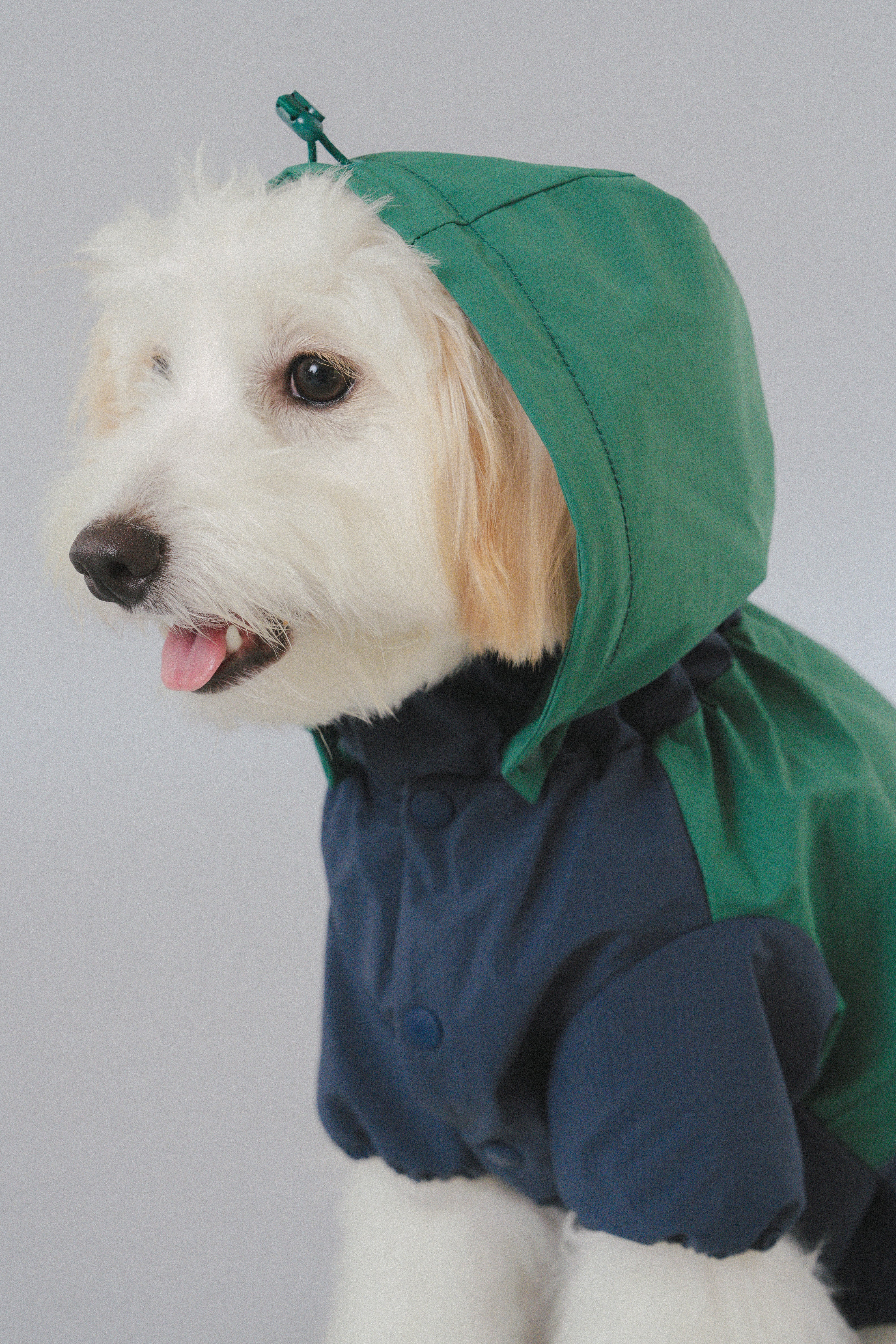 Raincoat All-Weather - Alpine Valleys