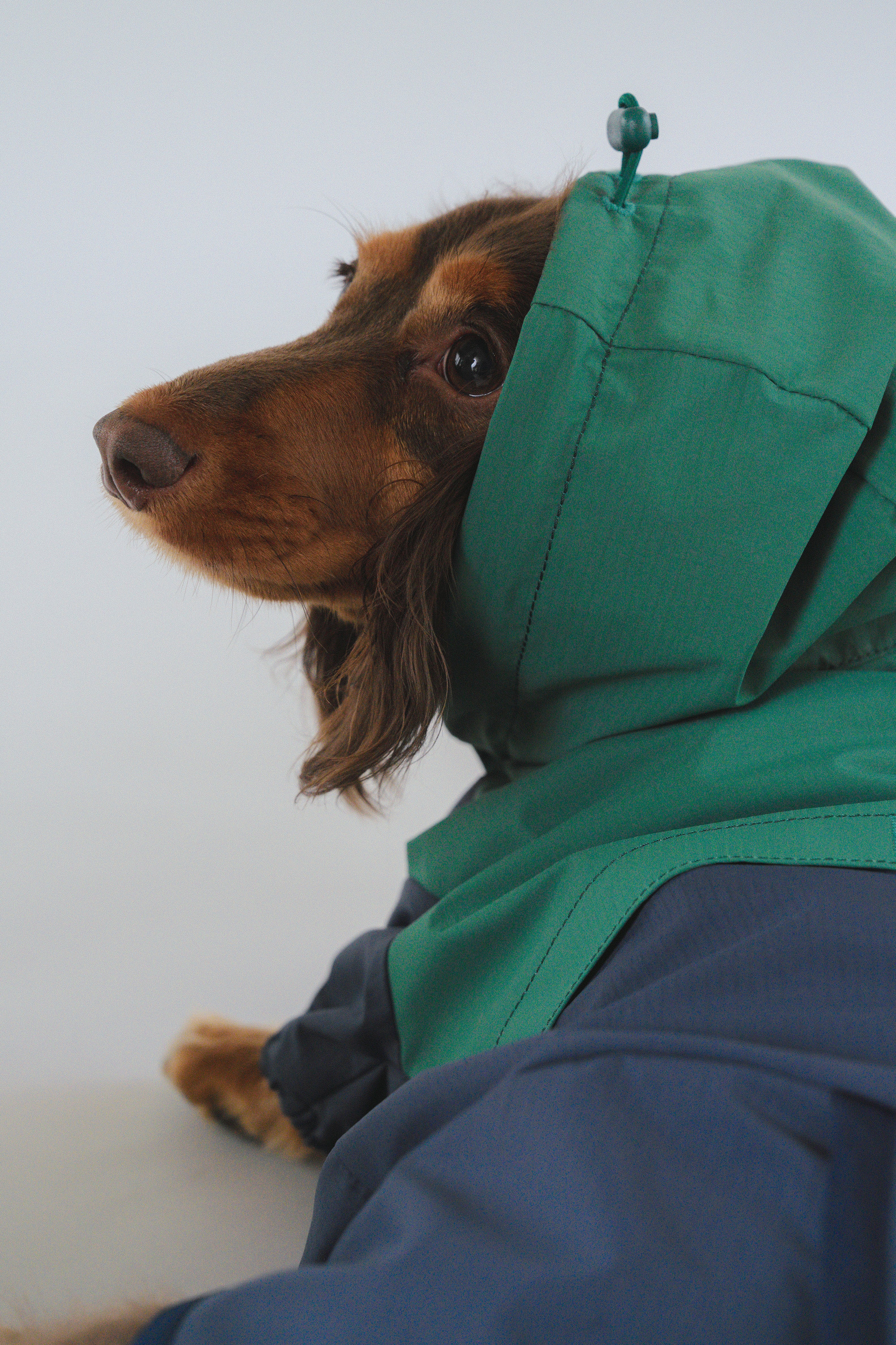 Raincoat All-Weather - Alpine Valleys