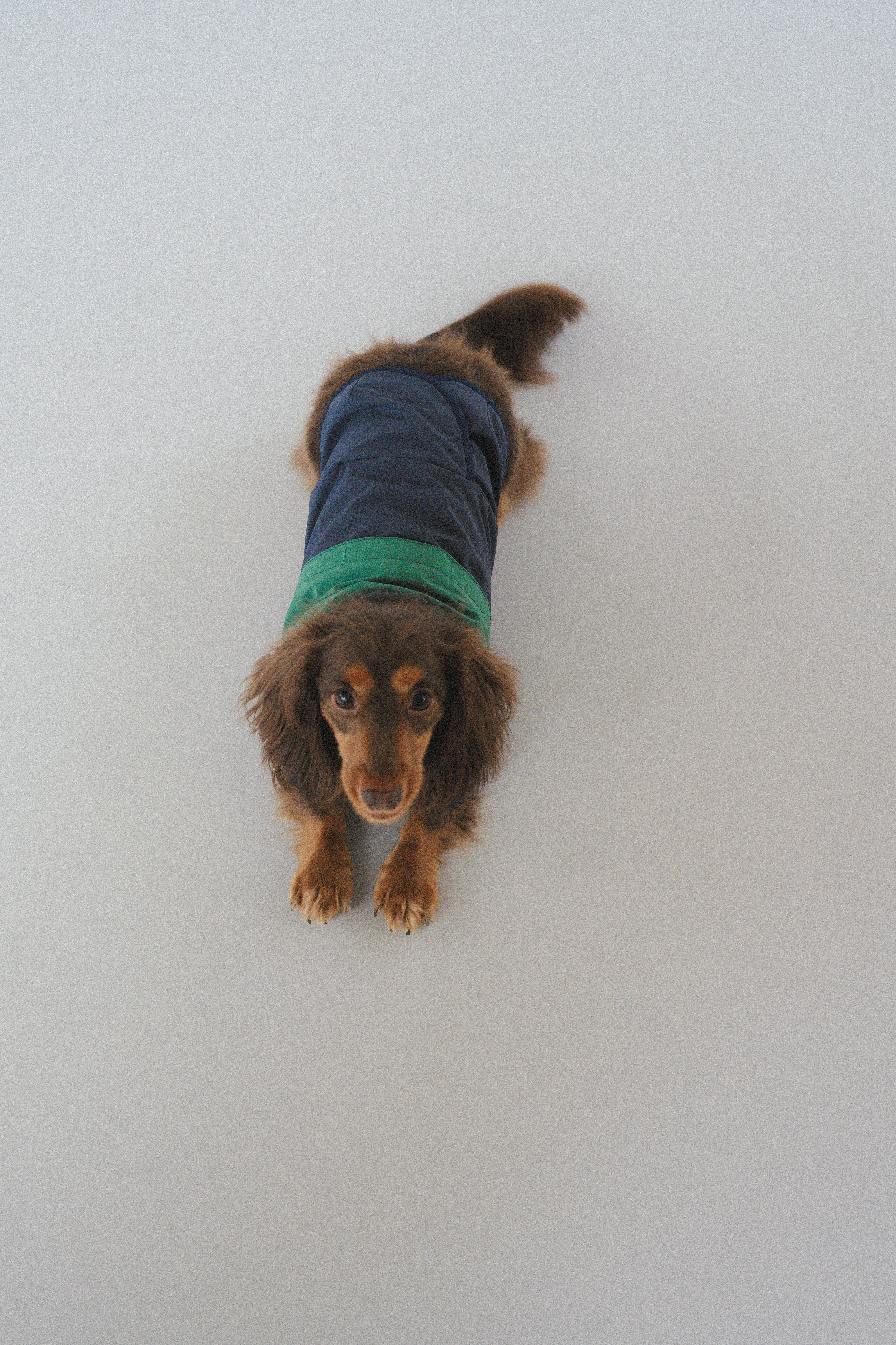 Raincoat All-Weather - Alpine Valleys