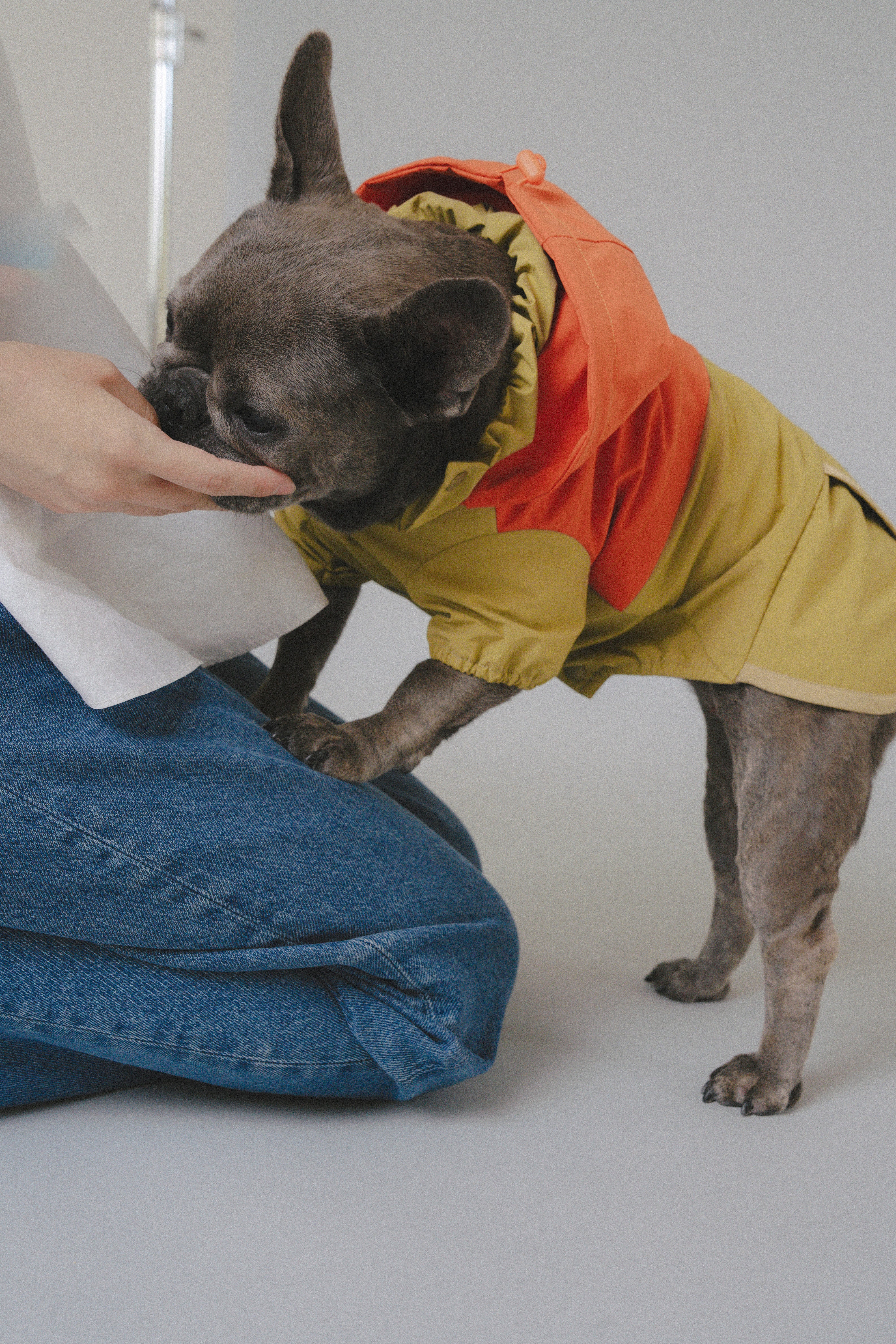 Raincoat All-Weather - Sundown Dance