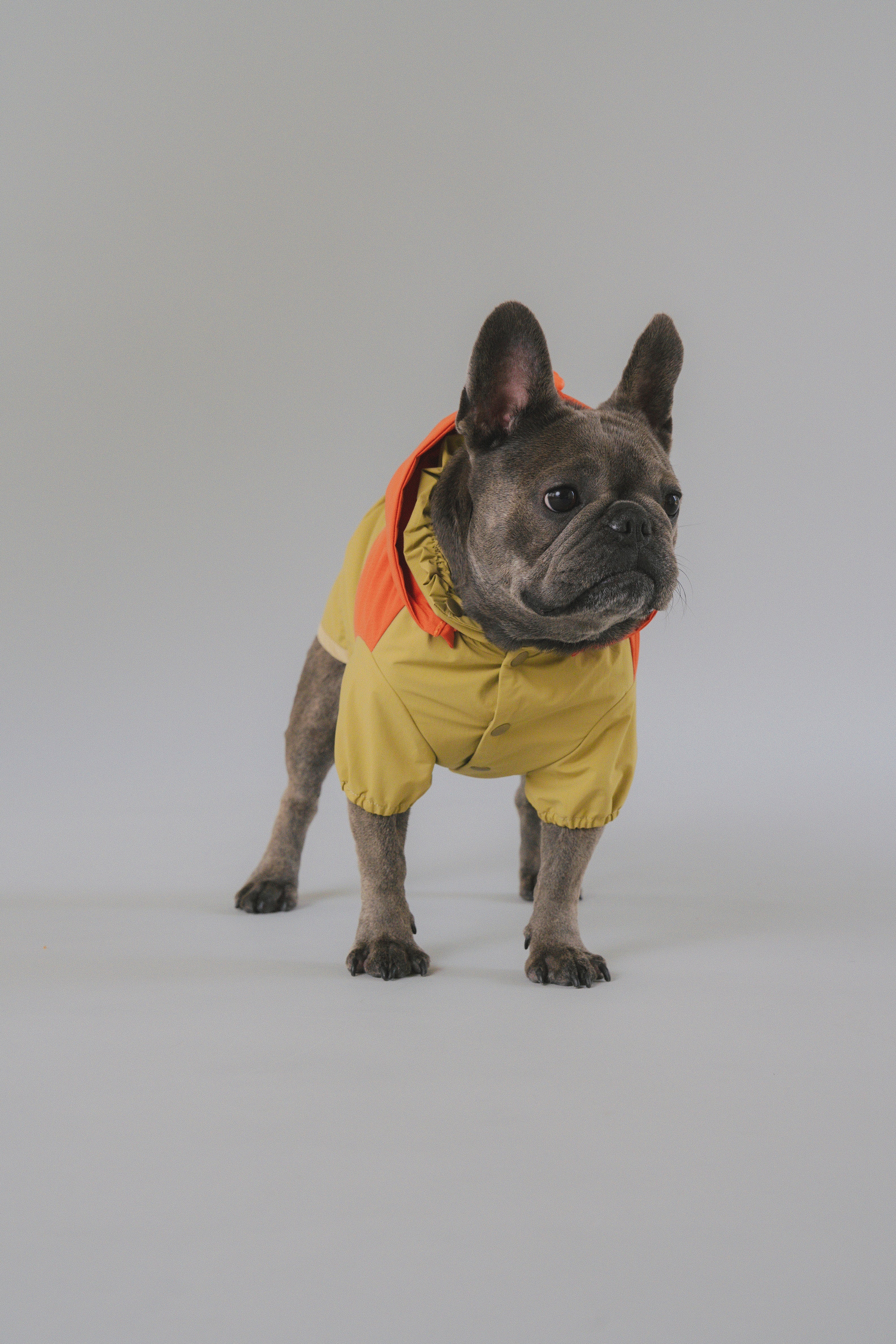 Raincoat All-Weather - Sundown Dance