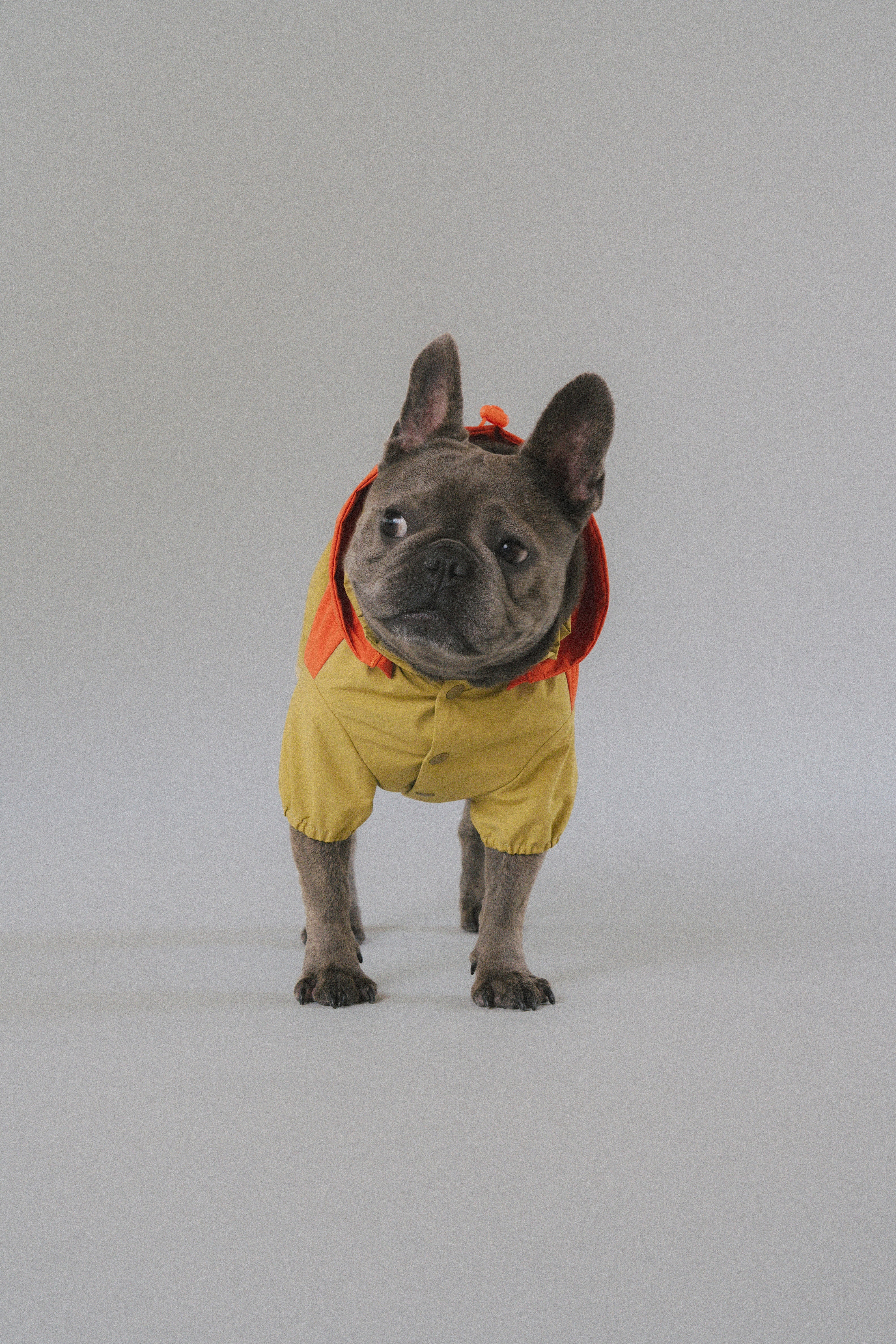 Raincoat All-Weather - Sundown Dance