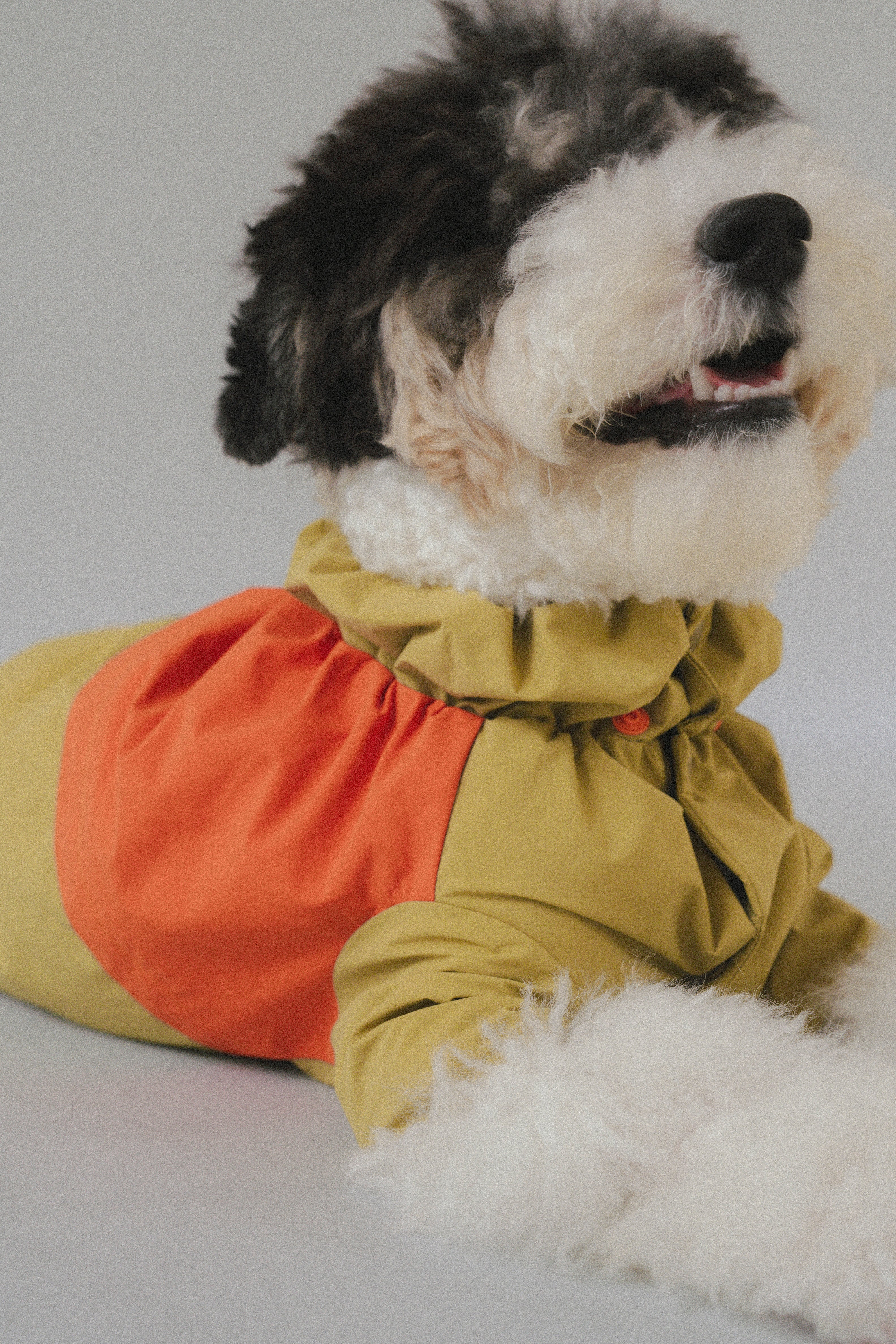 Raincoat All-Weather - Sundown Dance