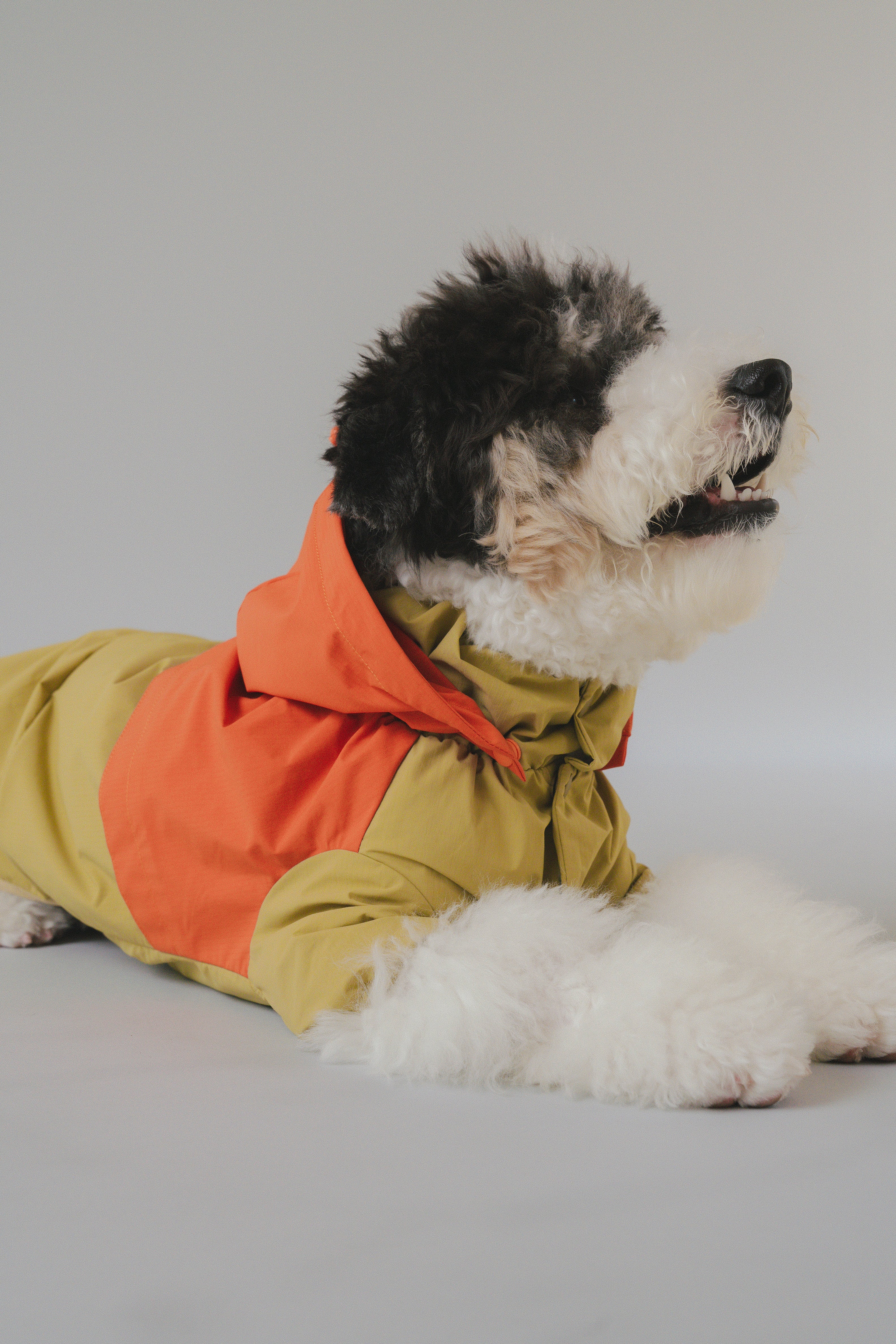 Raincoat All-Weather - Sundown Dance