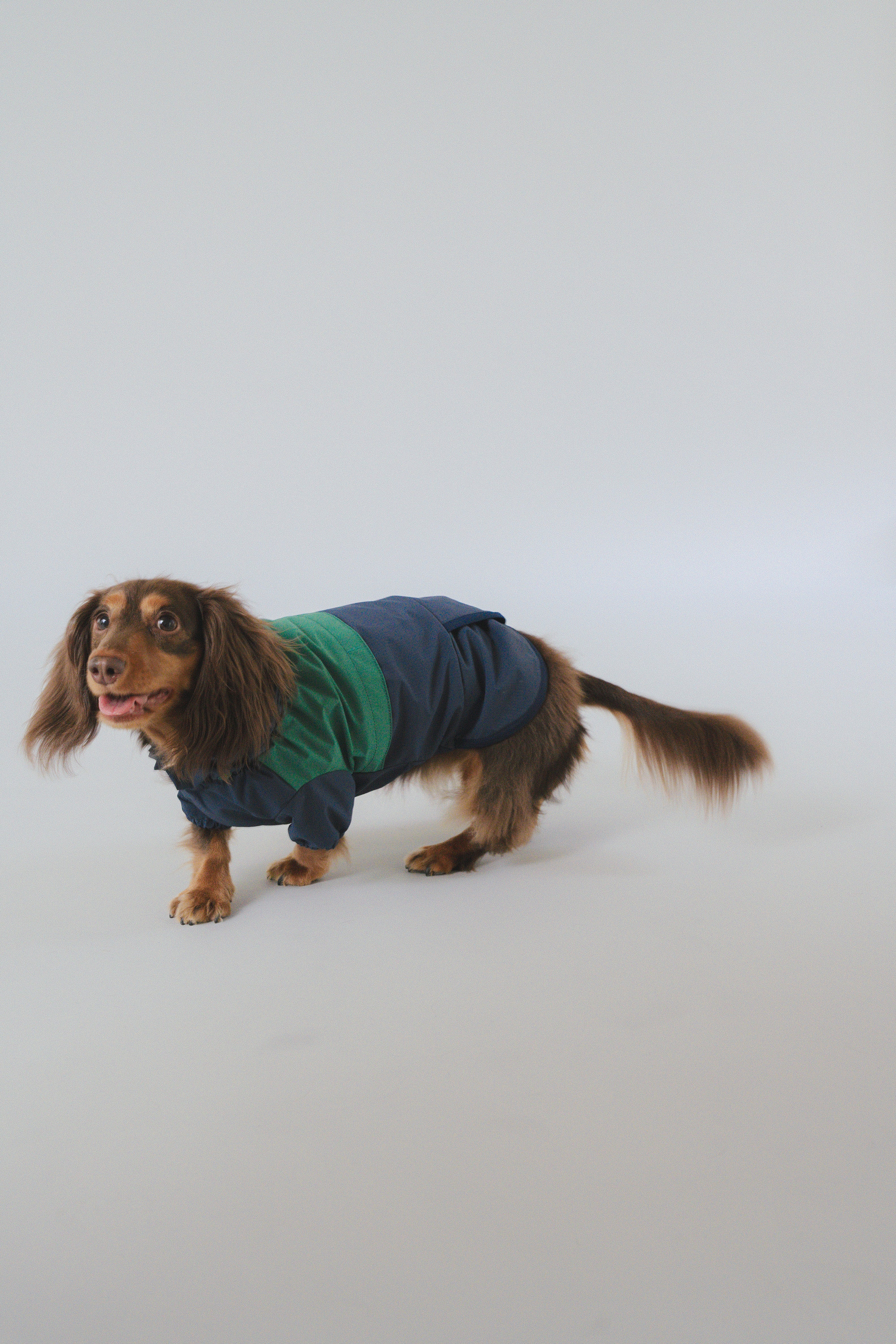 Raincoat All-Weather - Alpine Valleys