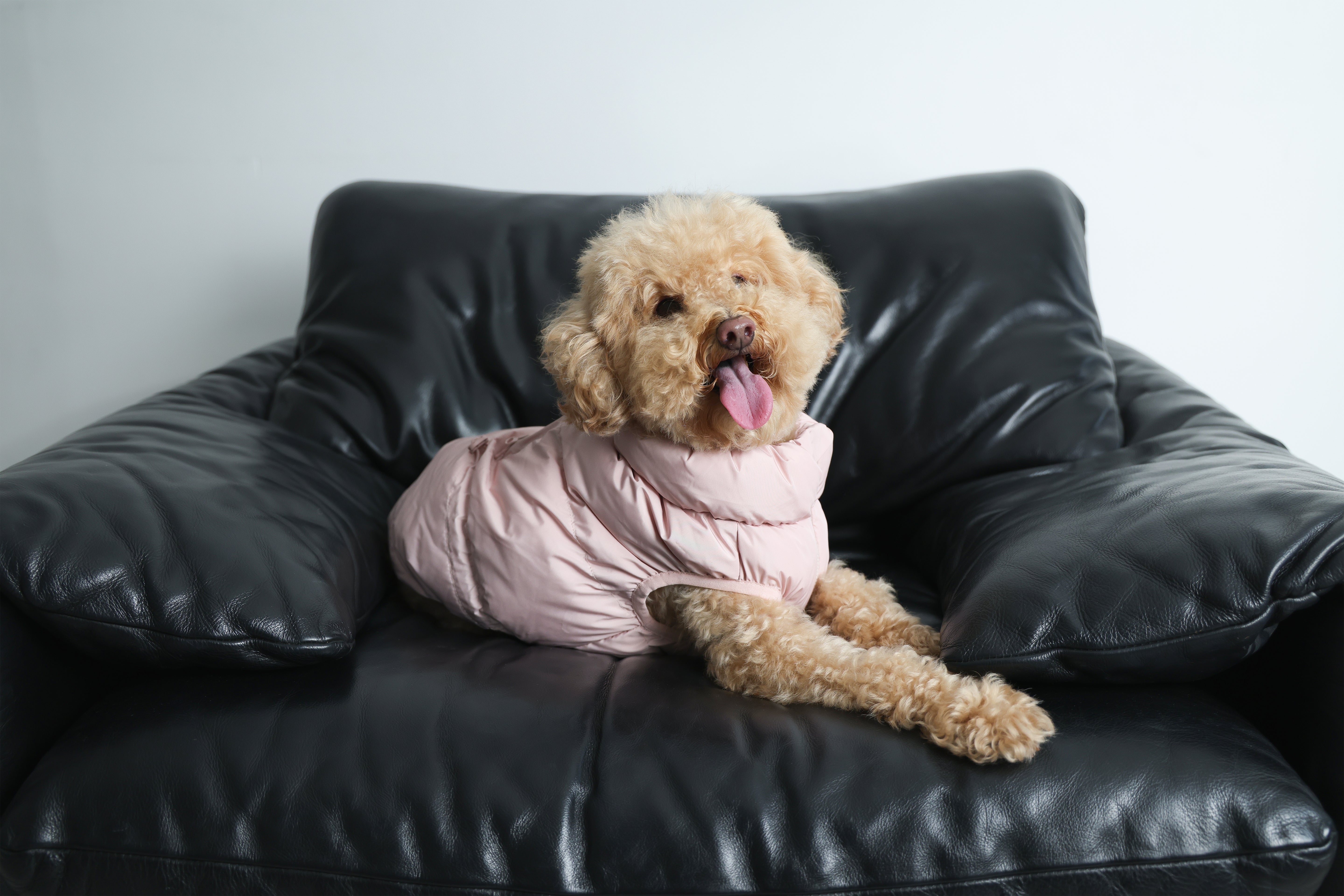 Cushy Puffer Vest - Cherry Blossom