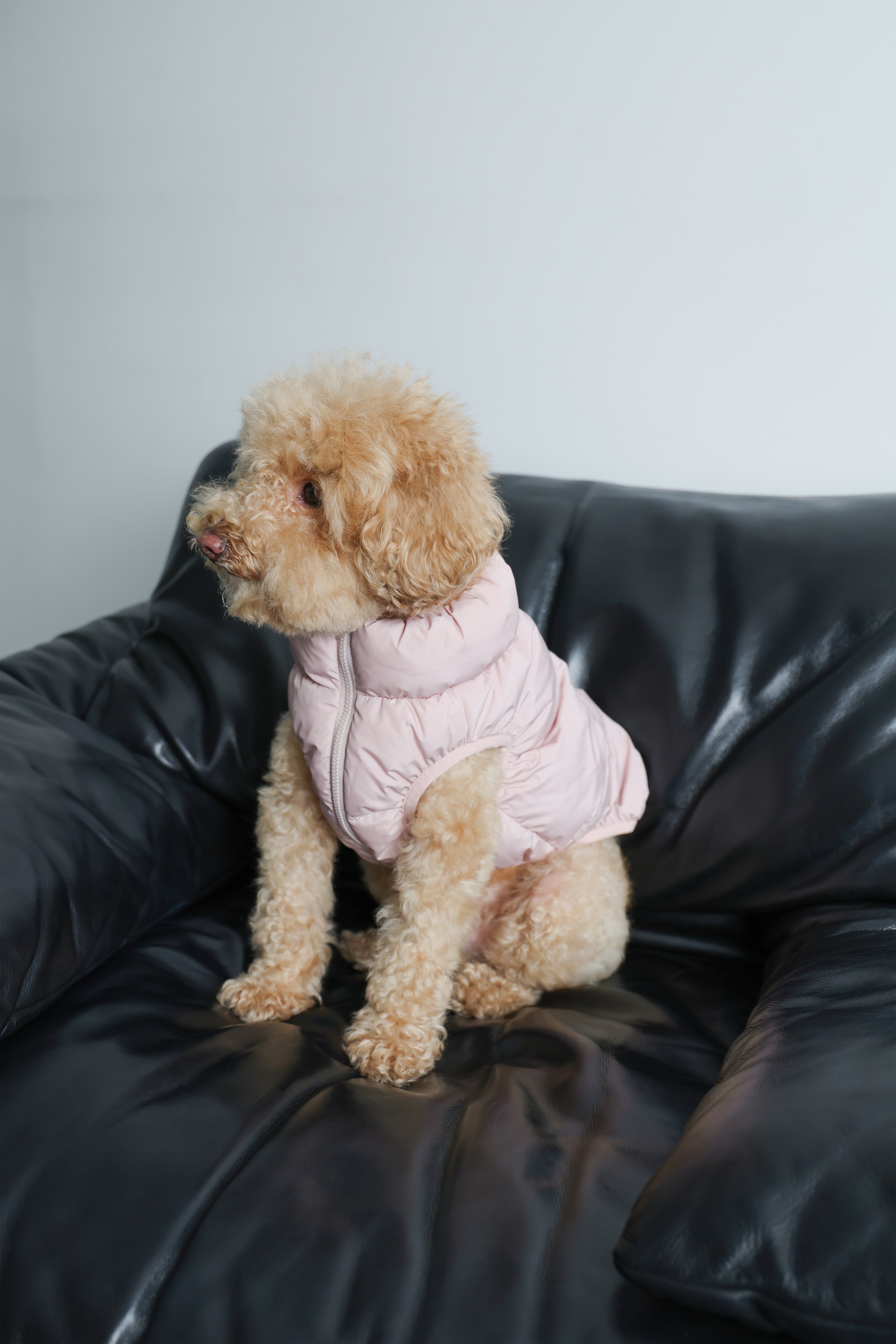 Cushy Puffer Vest - Cherry Blossom