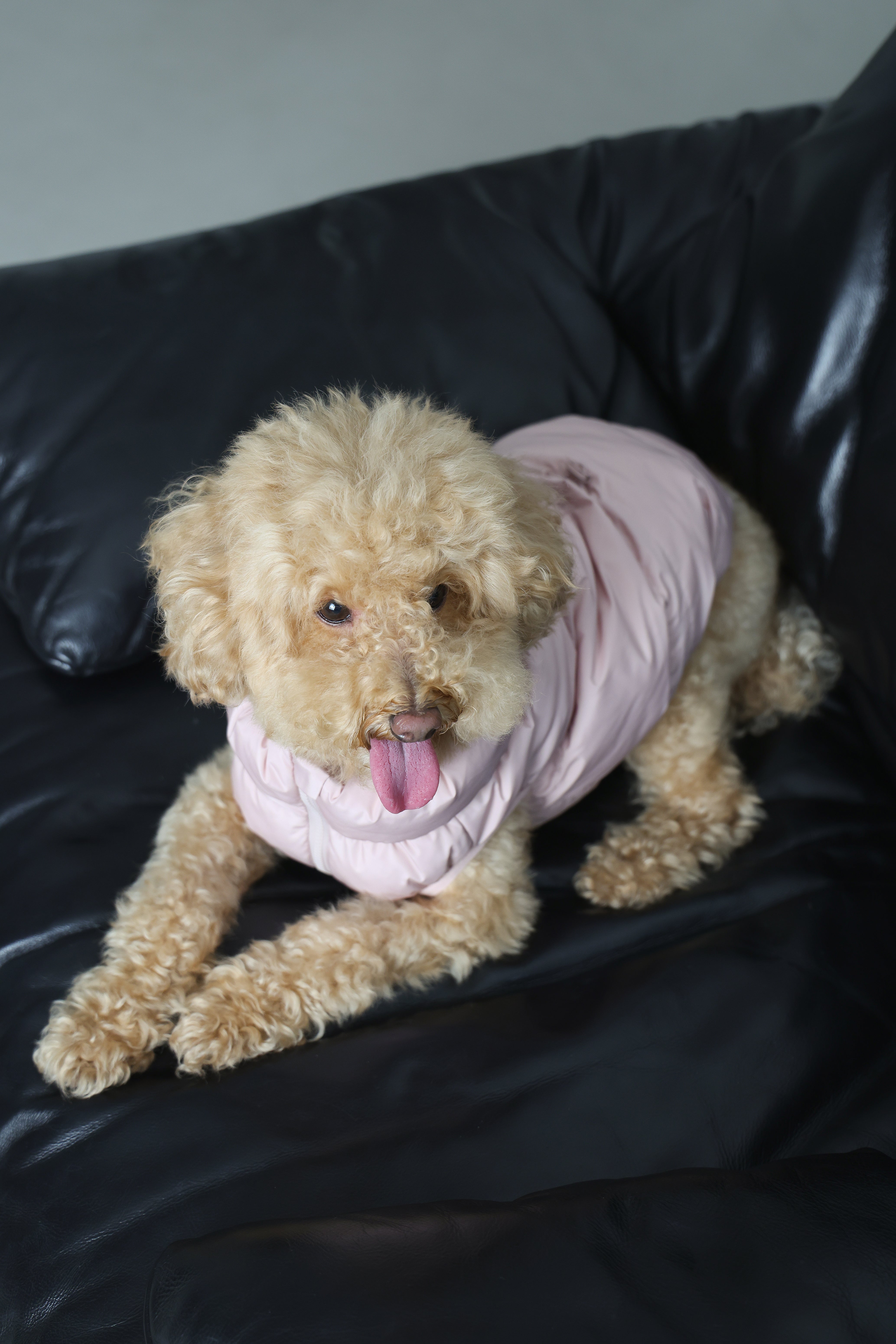 Cushy Puffer Vest - Cherry Blossom