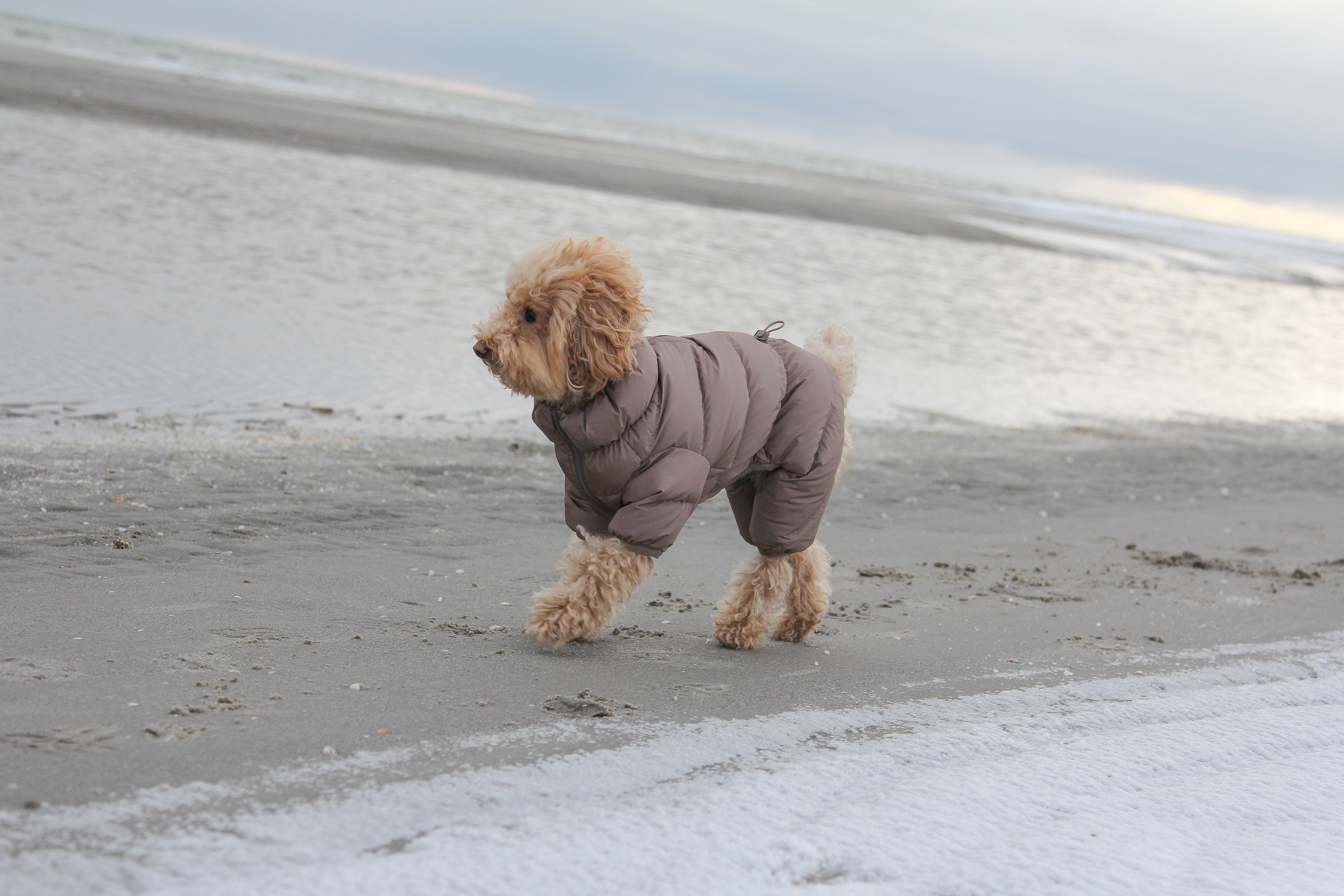 Cushy Puffer Onesie - Caffè Mocha