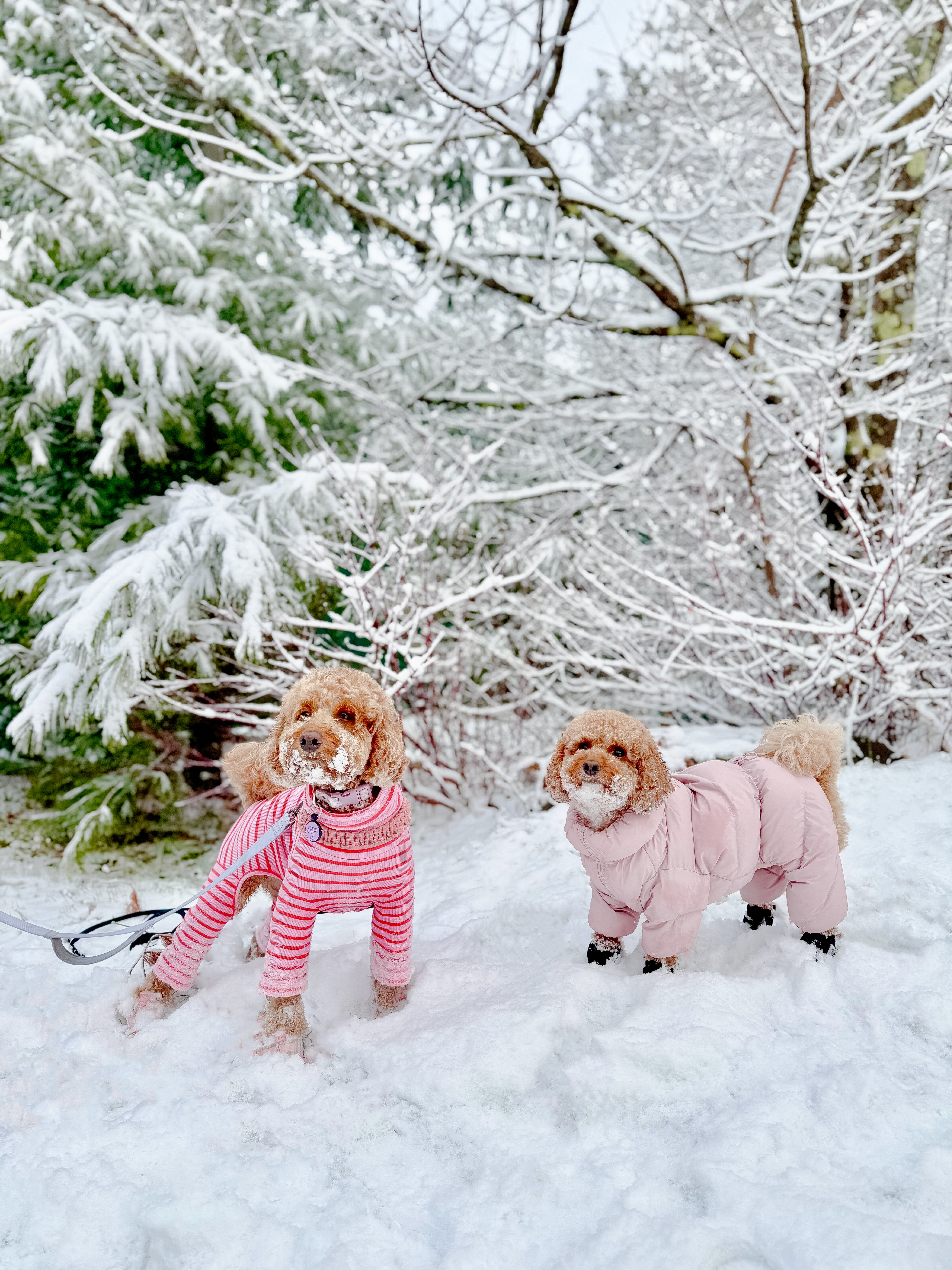 Cushy Puffer Onesie - Cherry Blossom
