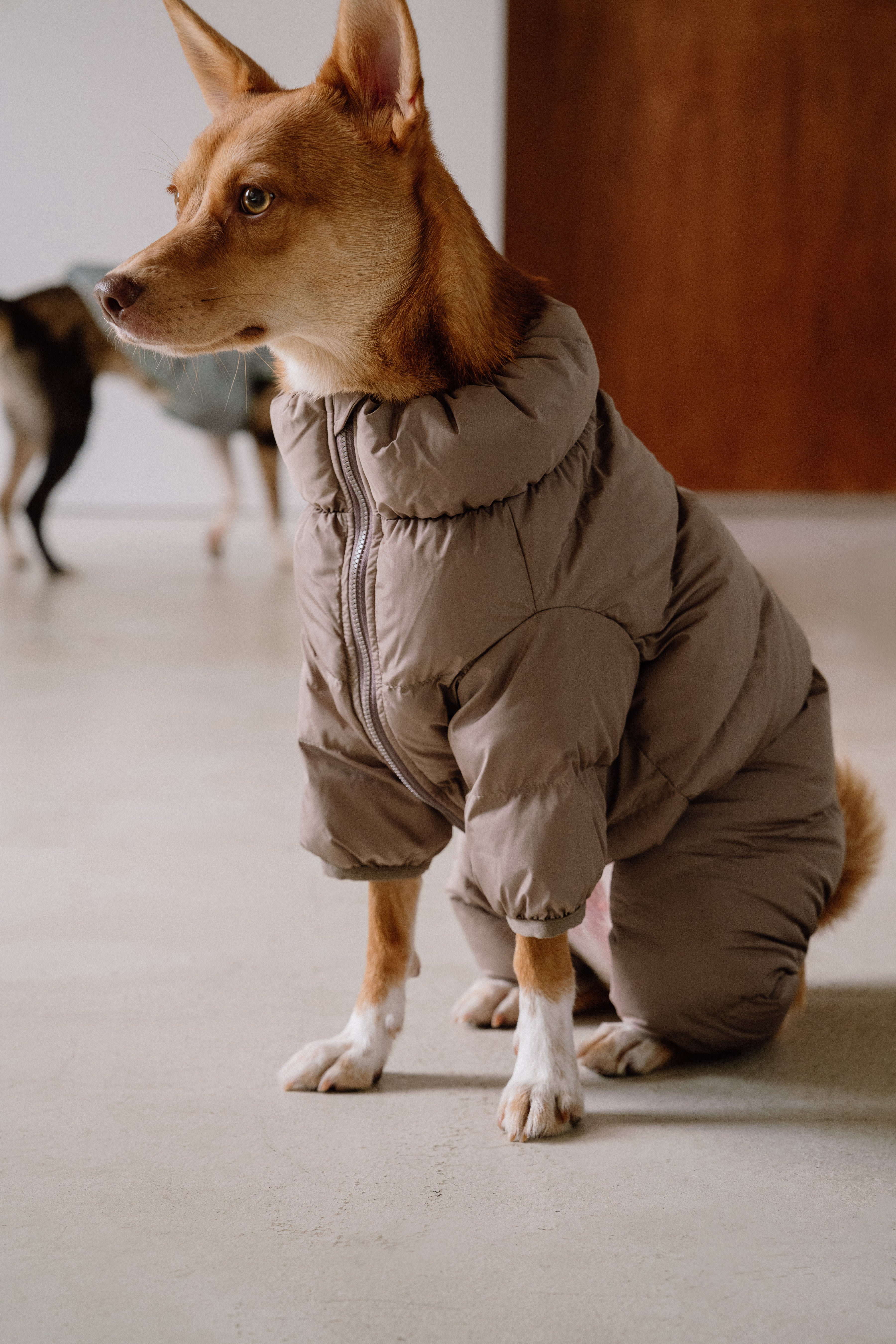 Cushy Puffer Onesie - Caffè Mocha