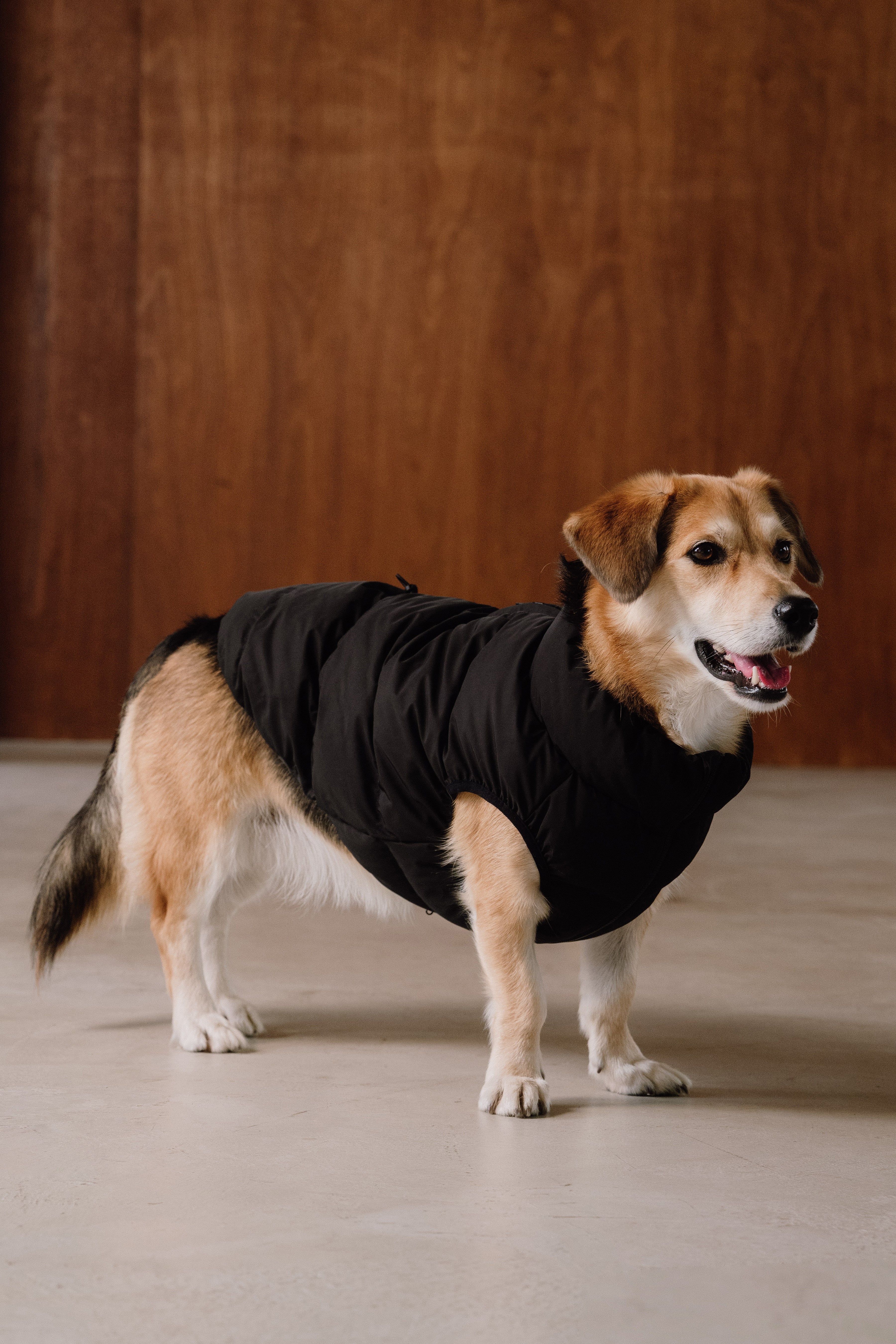 CushyCushy CUSHY PUFFER VEST ブラック サイズ8 Cushy Puffer Vest ブラック – Ray Dog Kyoto