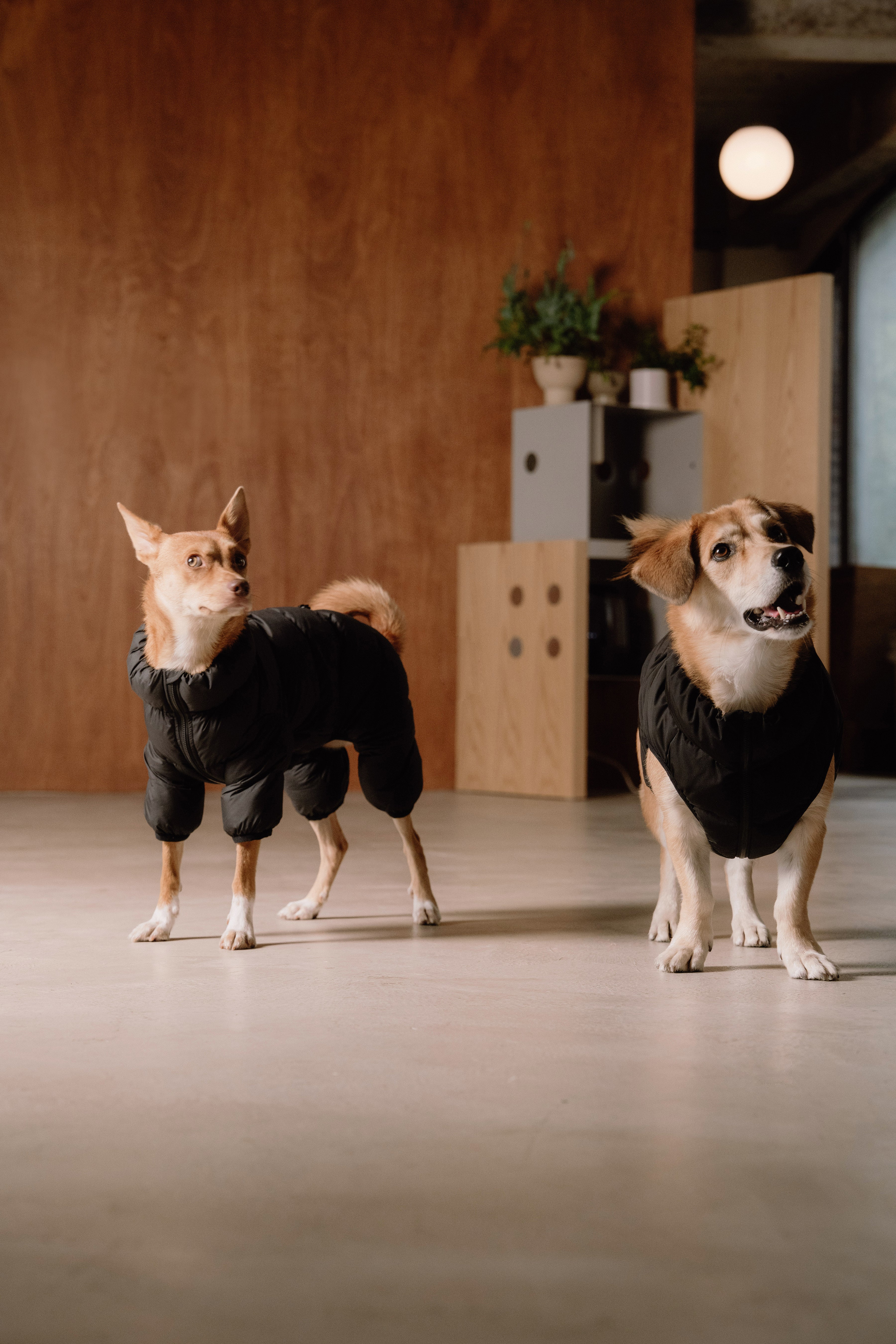 Cushy Puffer Vest - Pure Black