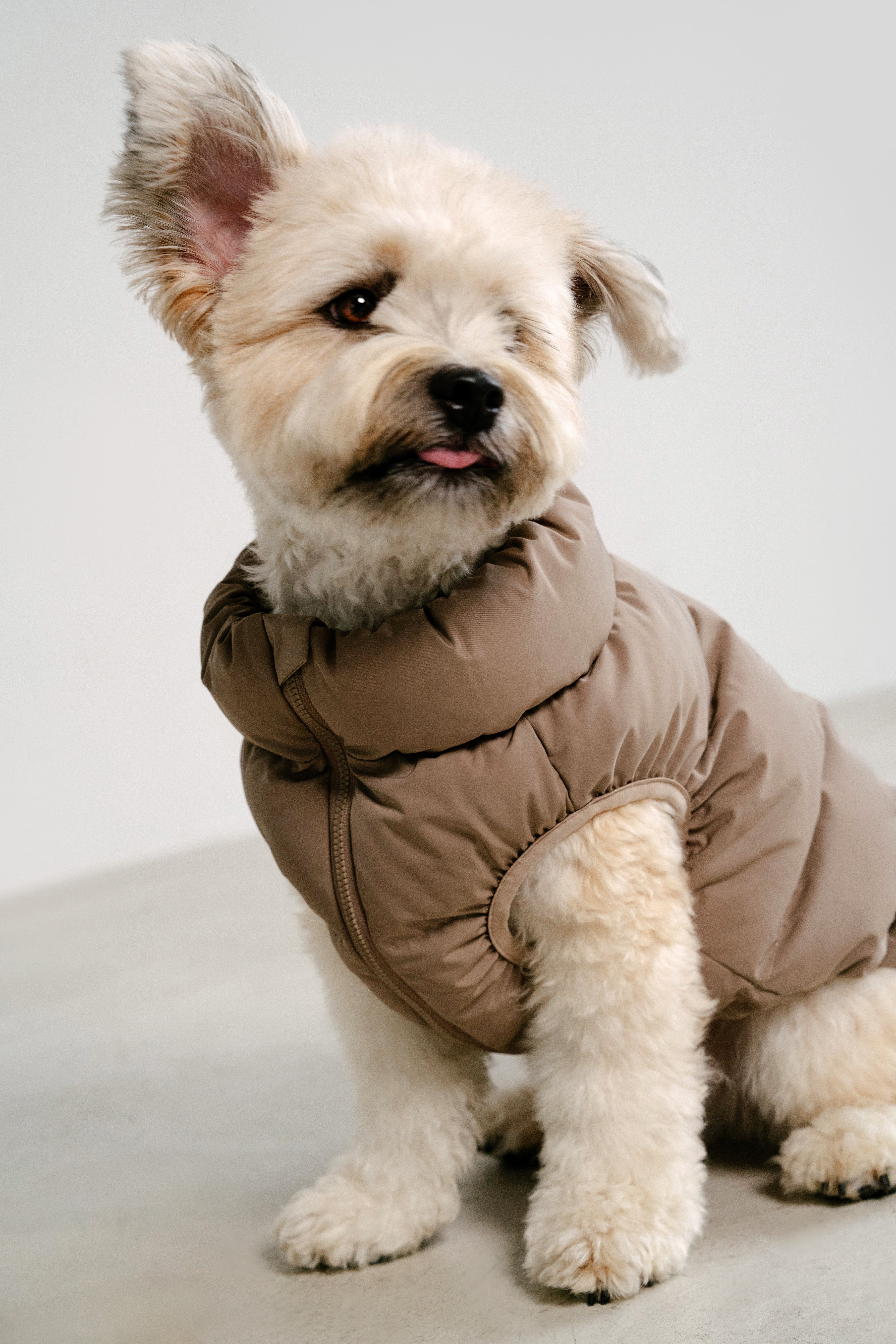 Cushy Puffer Vest - Pure Black