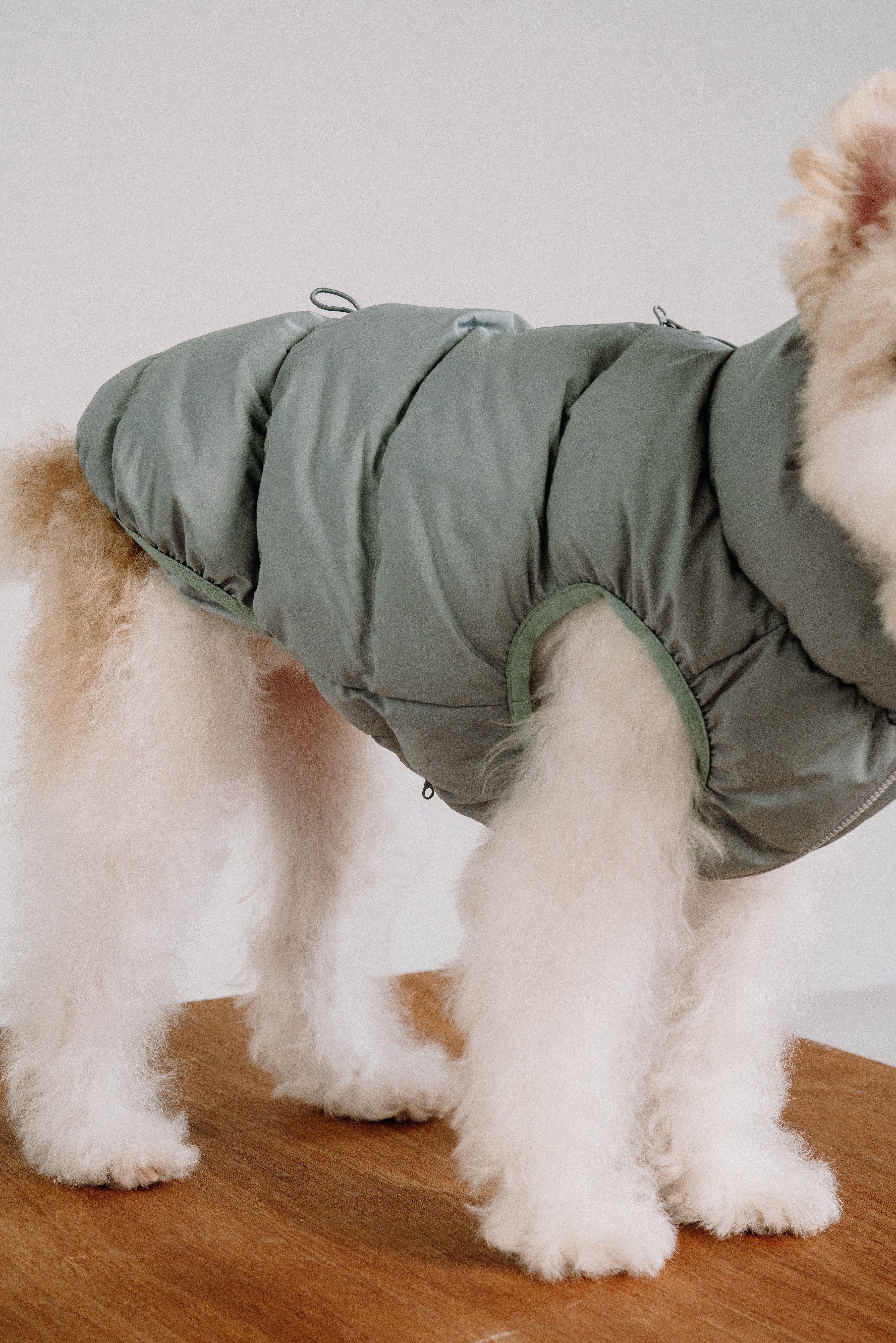 Cushy Puffer Vest - Iceberg Green