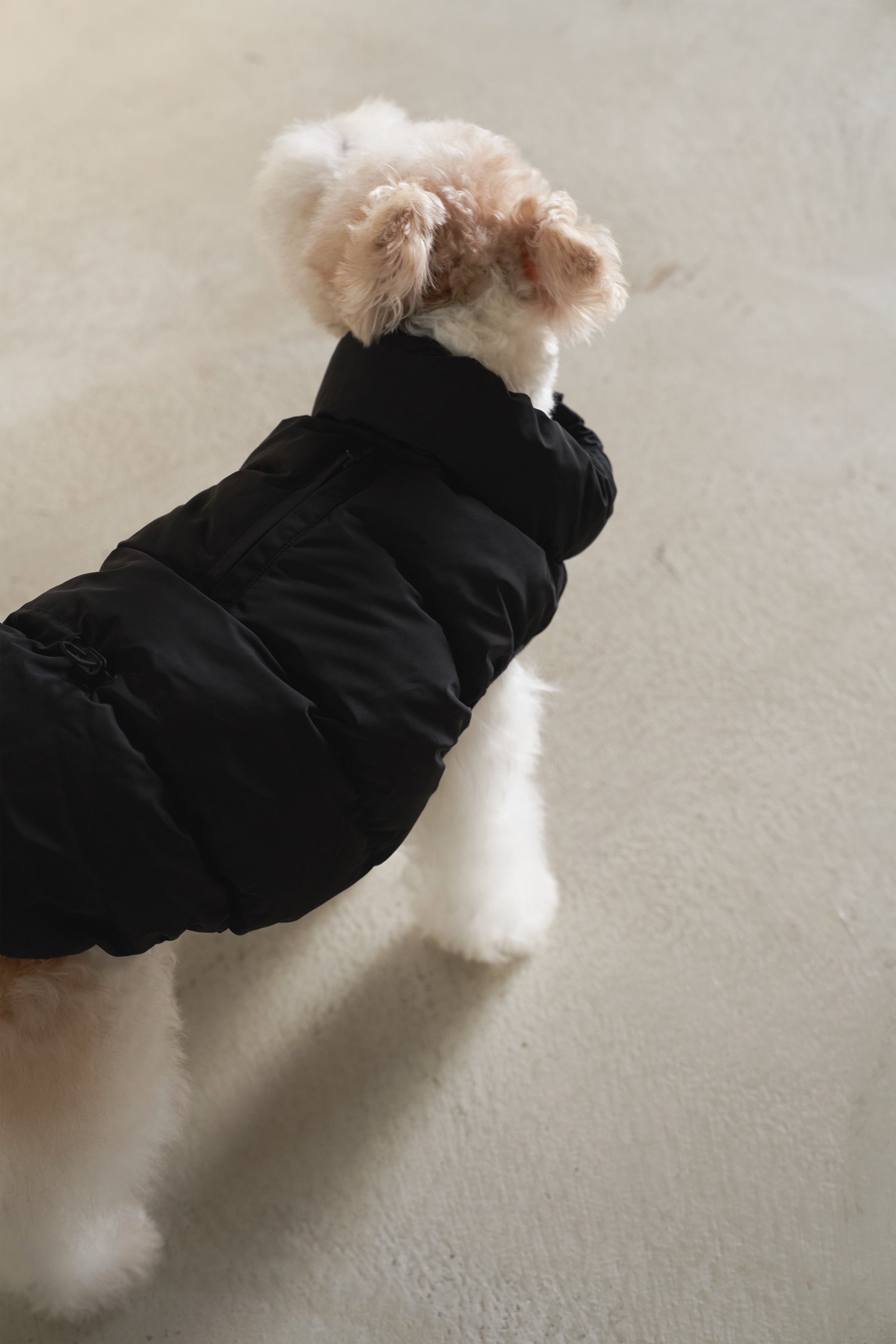 CushyCushy CUSHY PUFFER VEST ブラック サイズ8 Cushy Puffer Vest - Pure Black