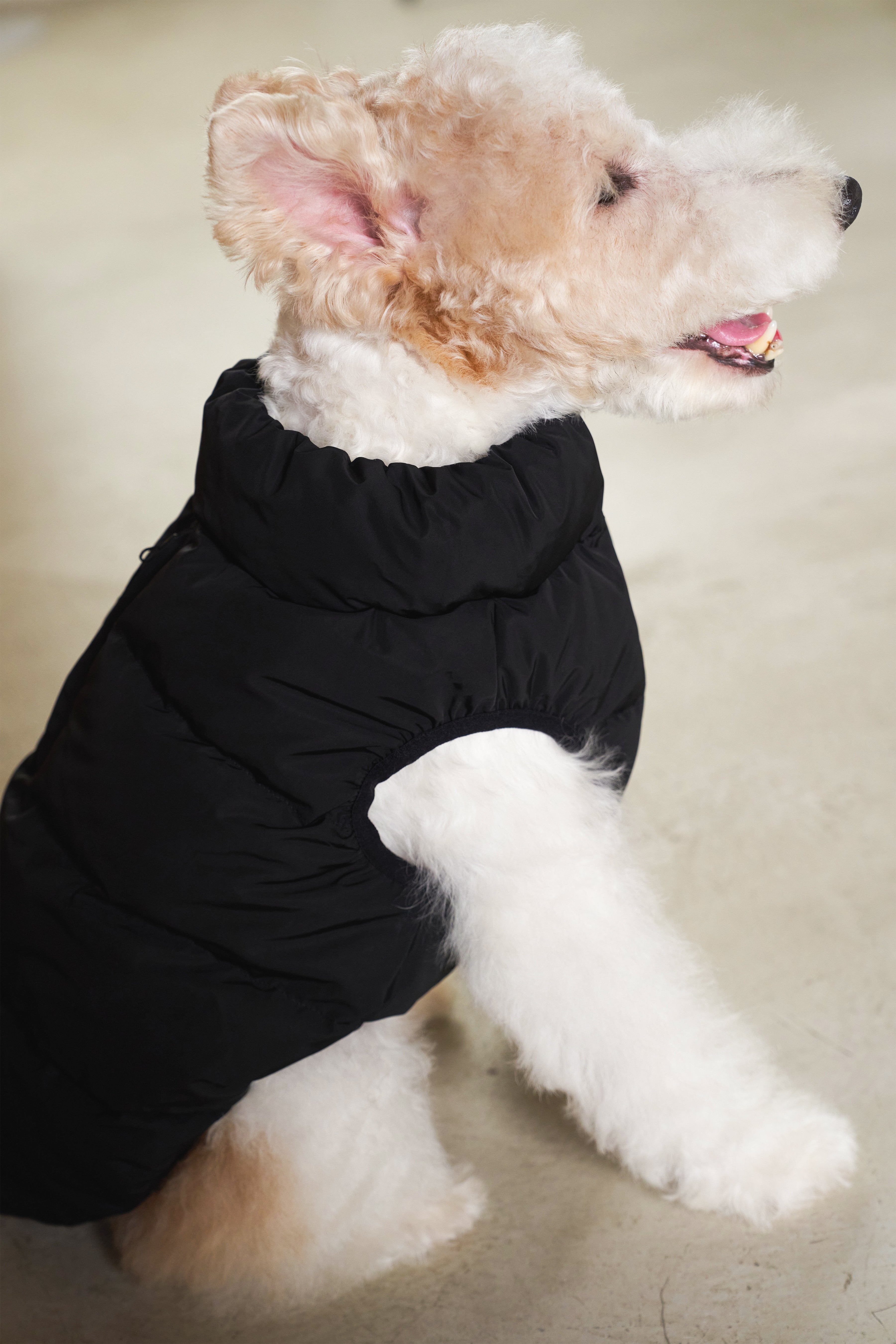 Cushy Puffer Vest - Pure Black