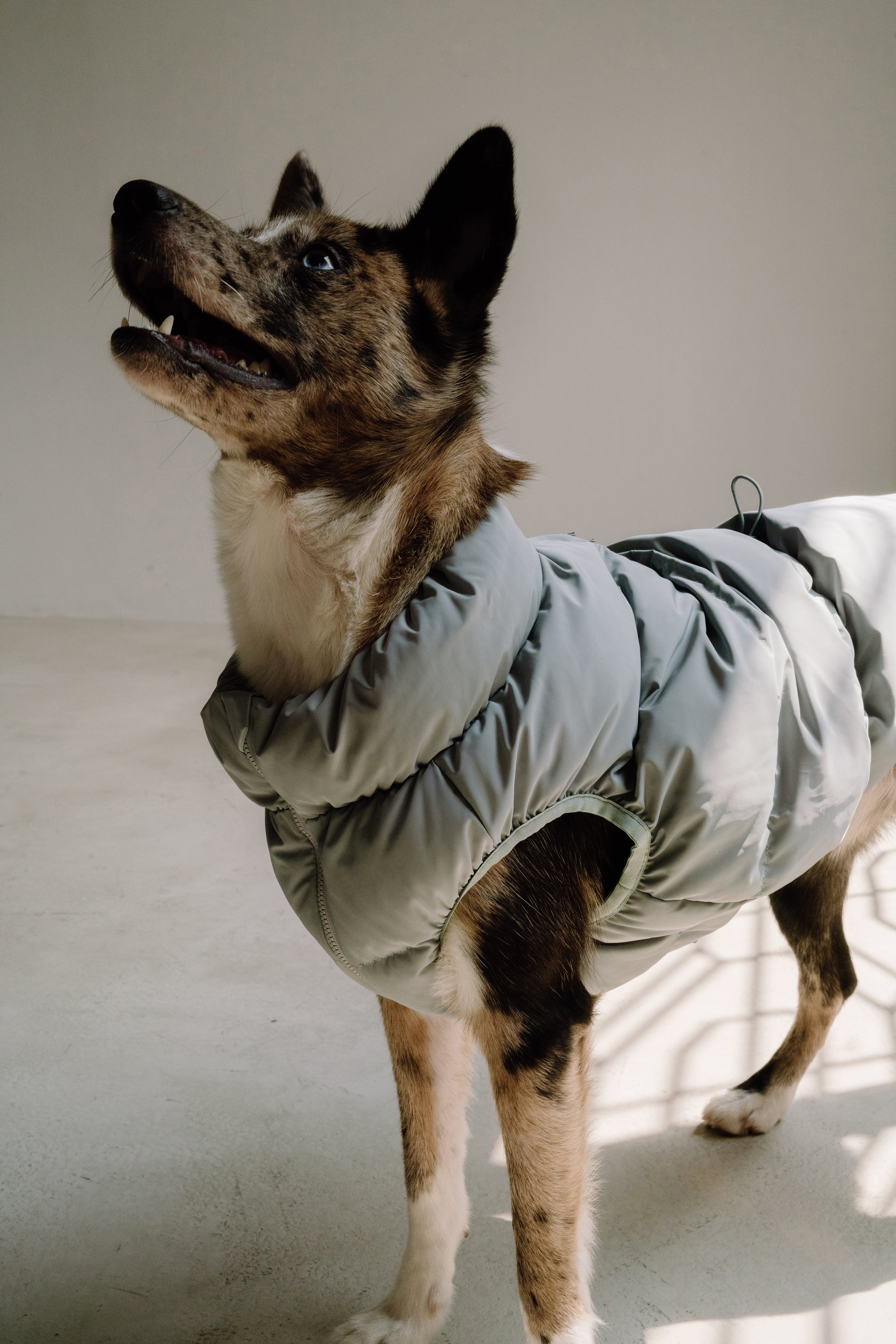 Cushy Puffer Vest | Iceberg