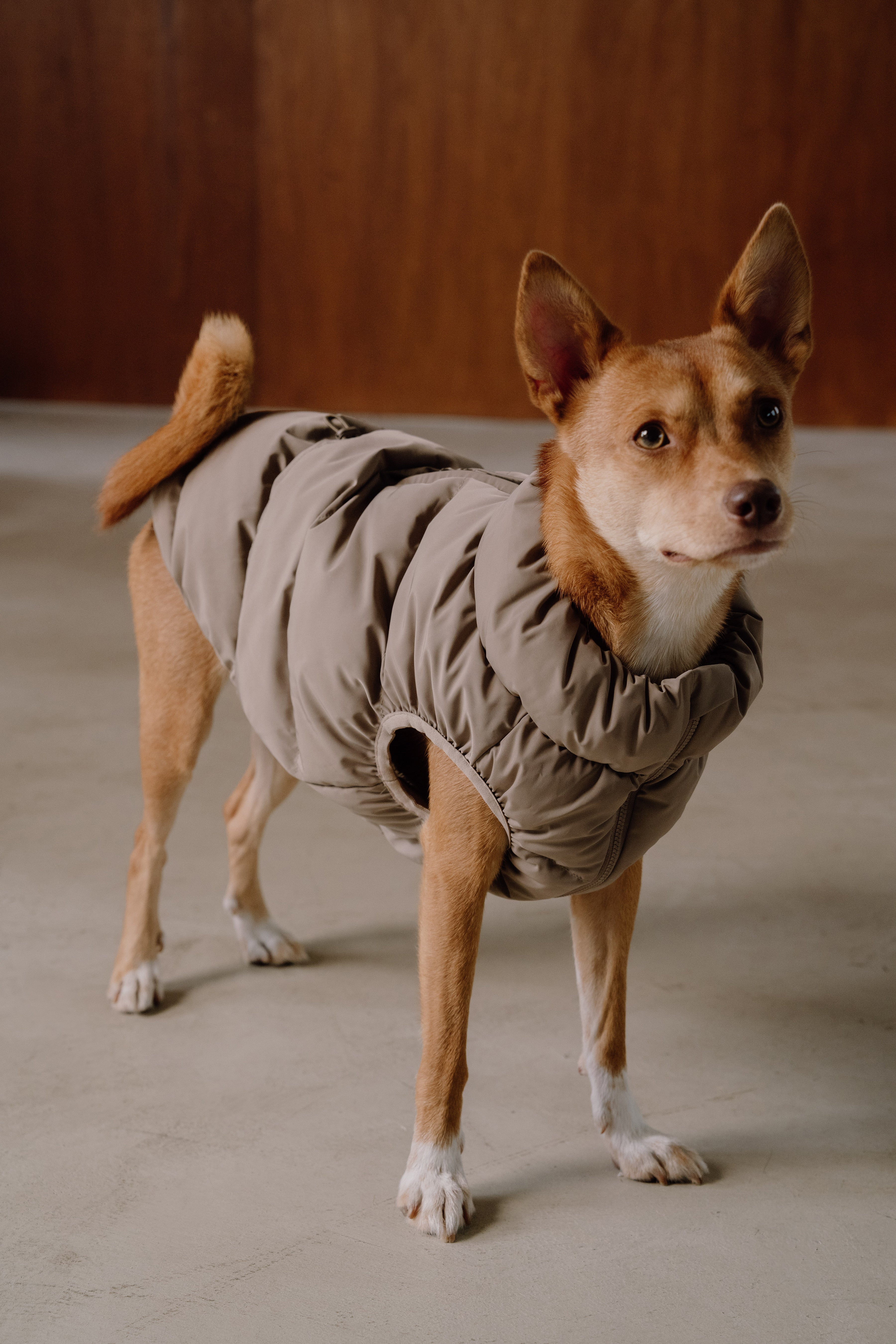 Cushy Puffer Vest - Pure Black
