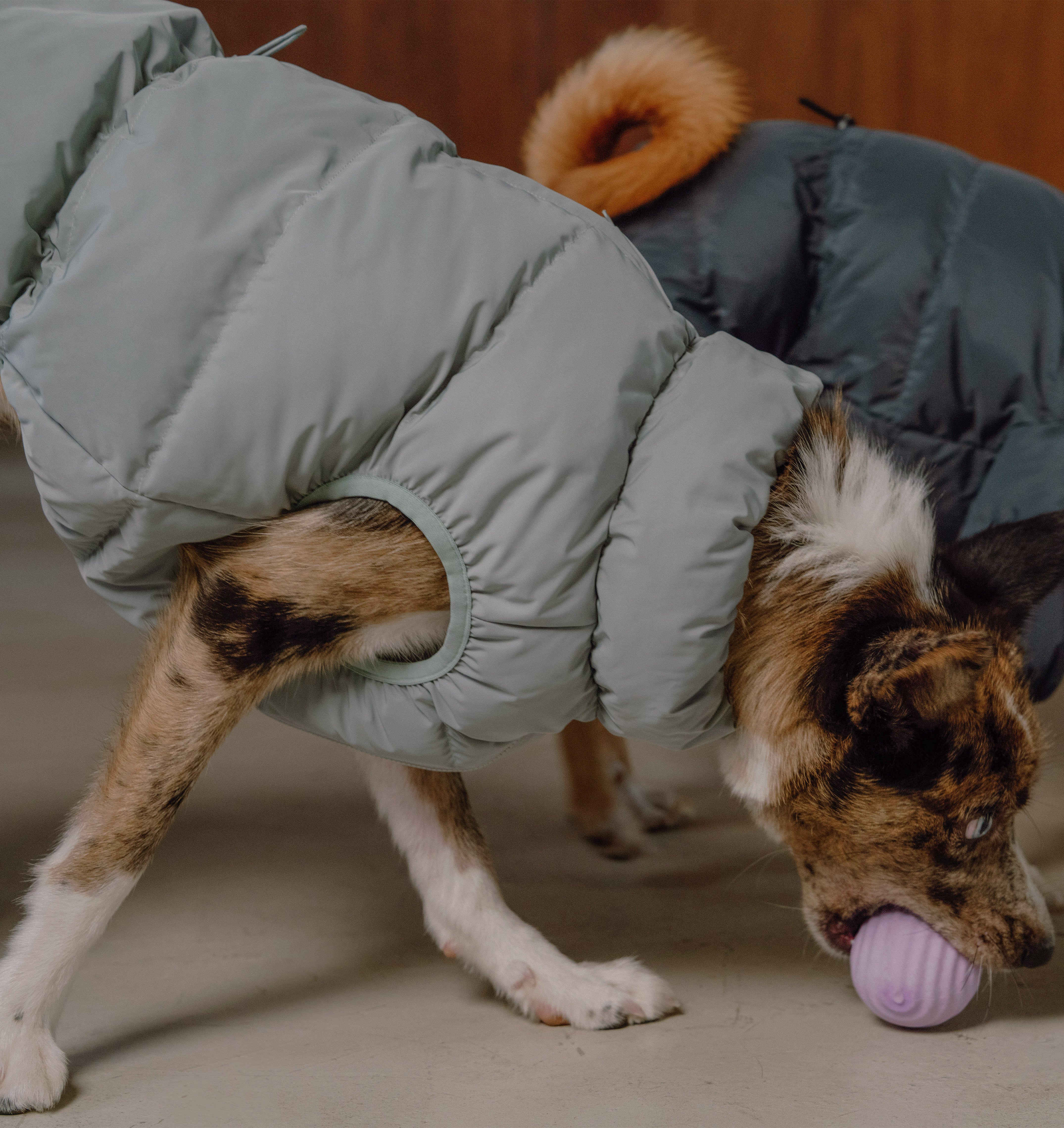 Cushy Puffer Vest - Iceberg Green