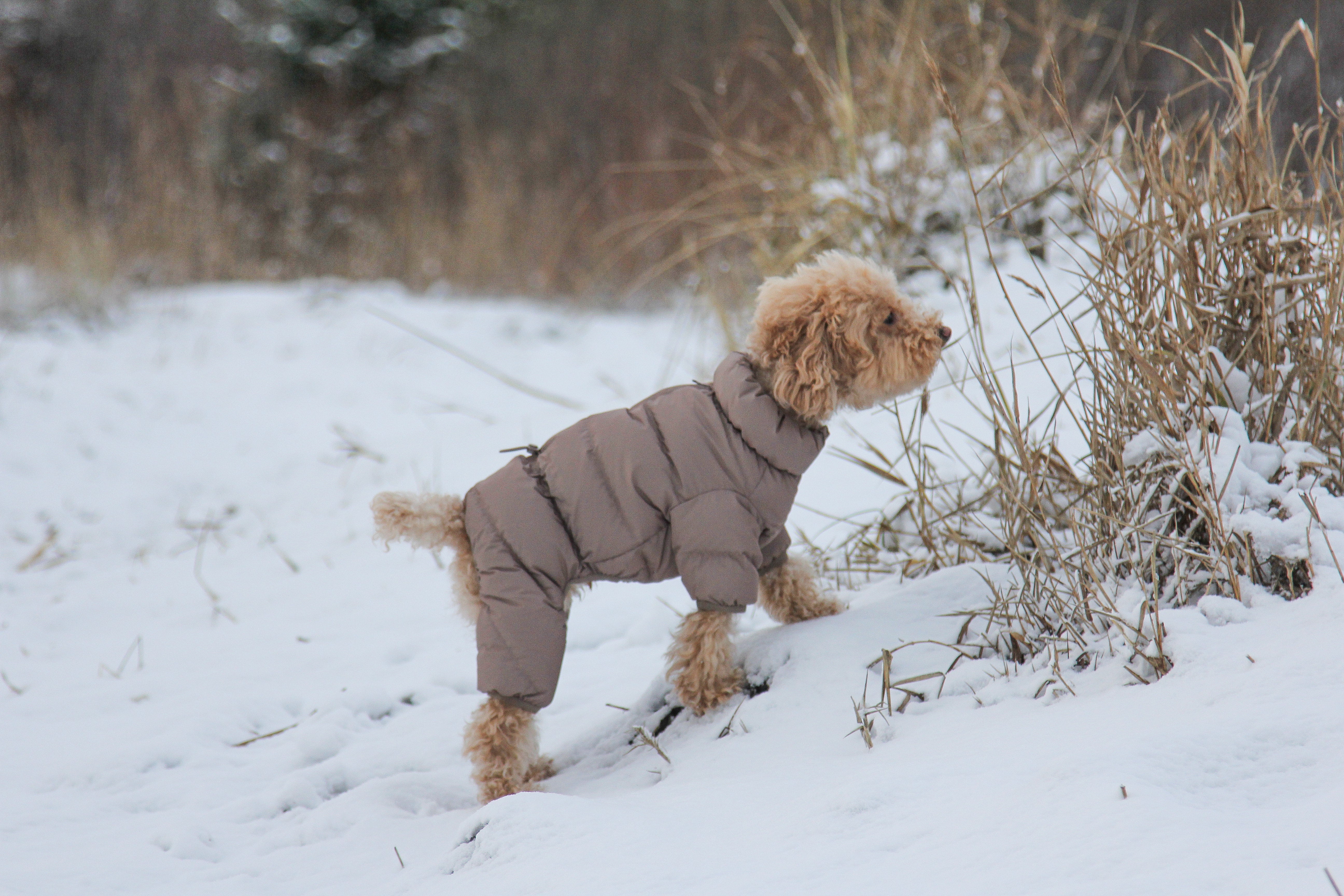 Cushy Puffer Onesie - Caffè Mocha