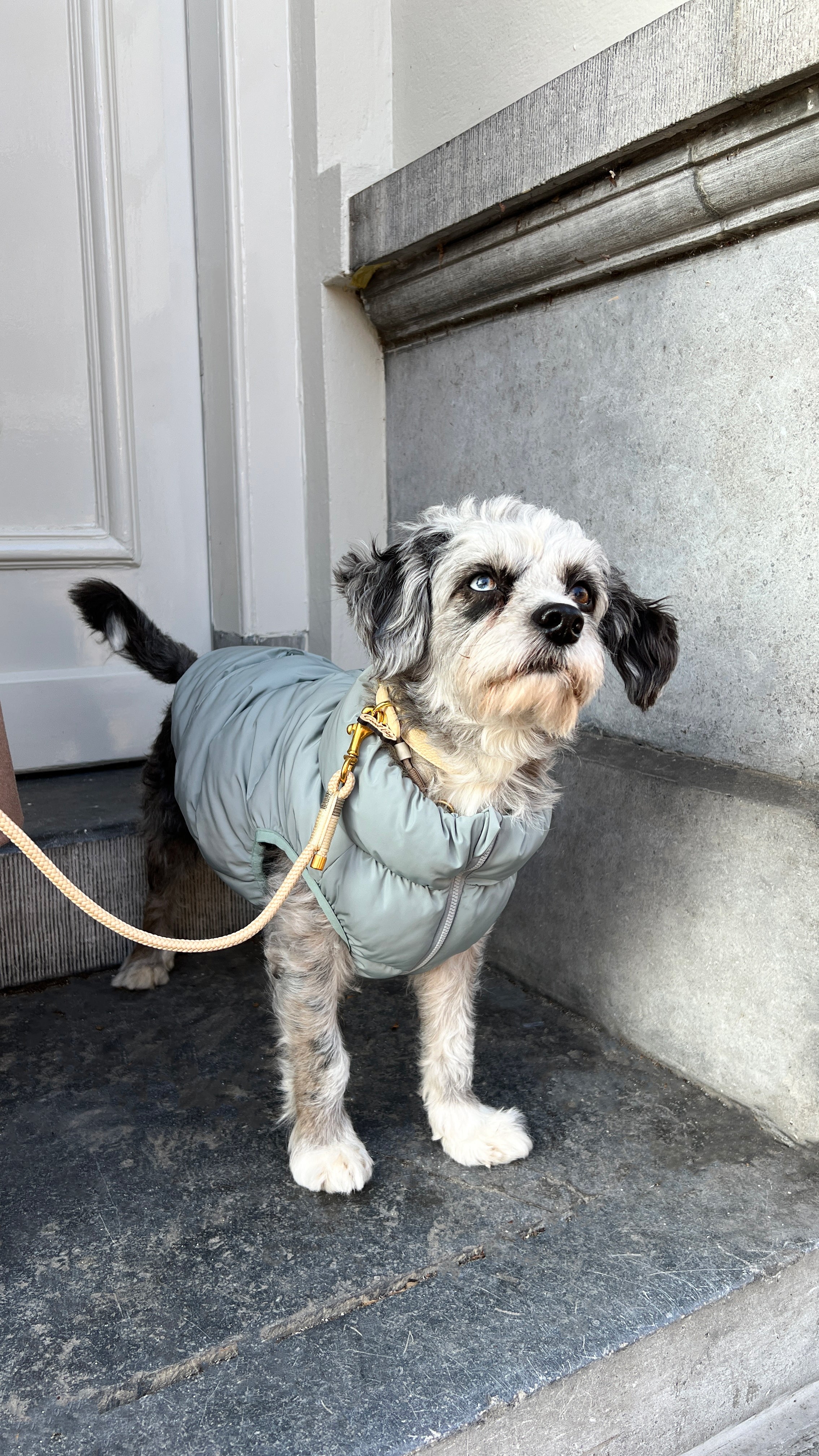 Cushy Puffer Vest - Iceberg Green