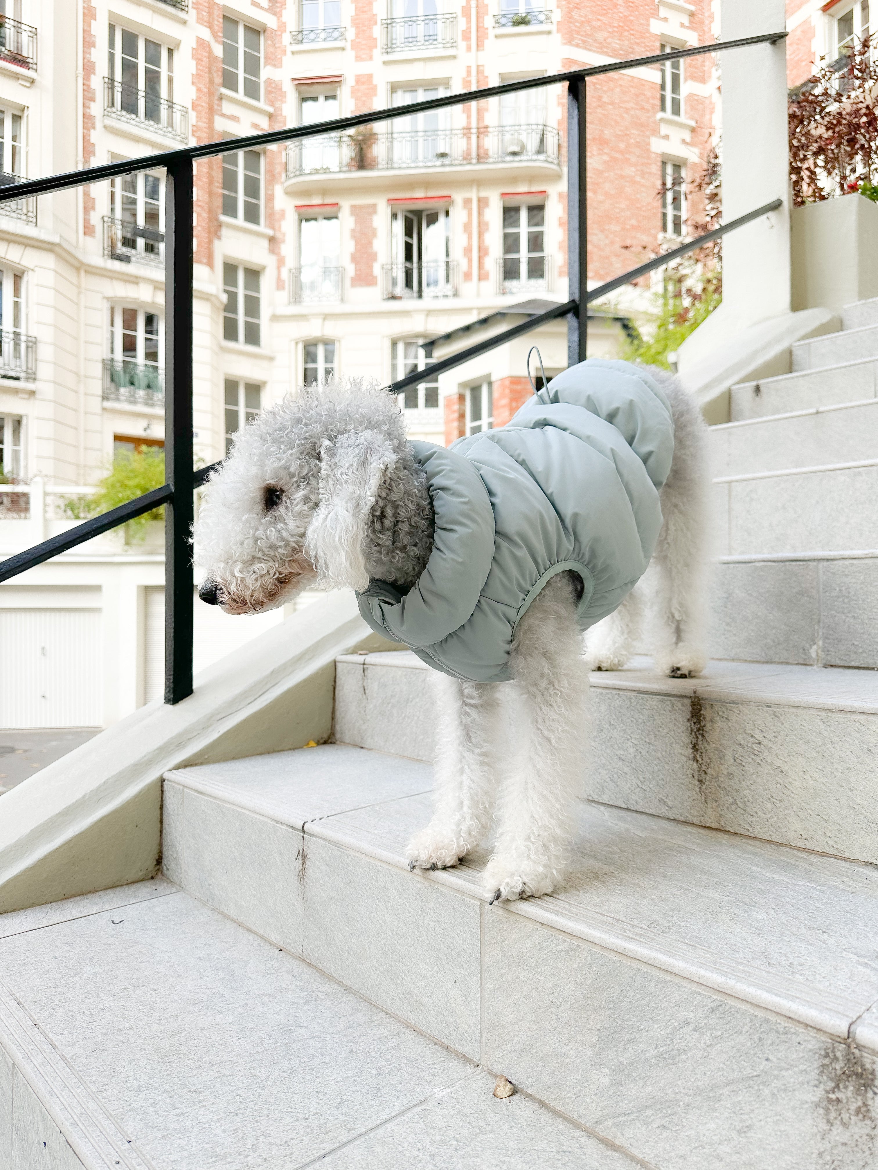 Cushy Puffer Vest - Iceberg Green