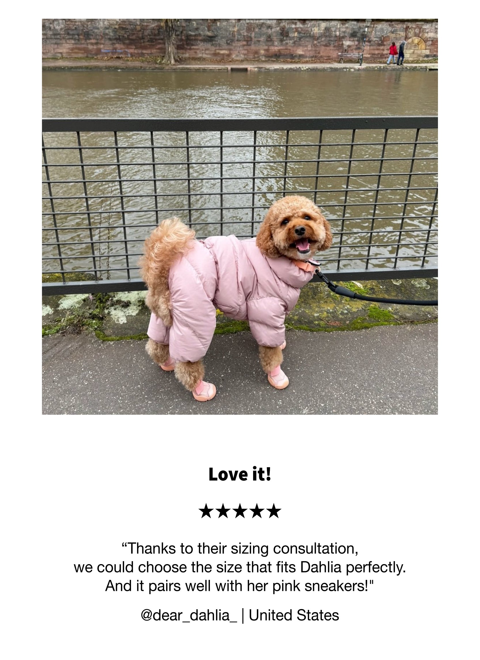 Cushy Puffer Vest - Pure Black