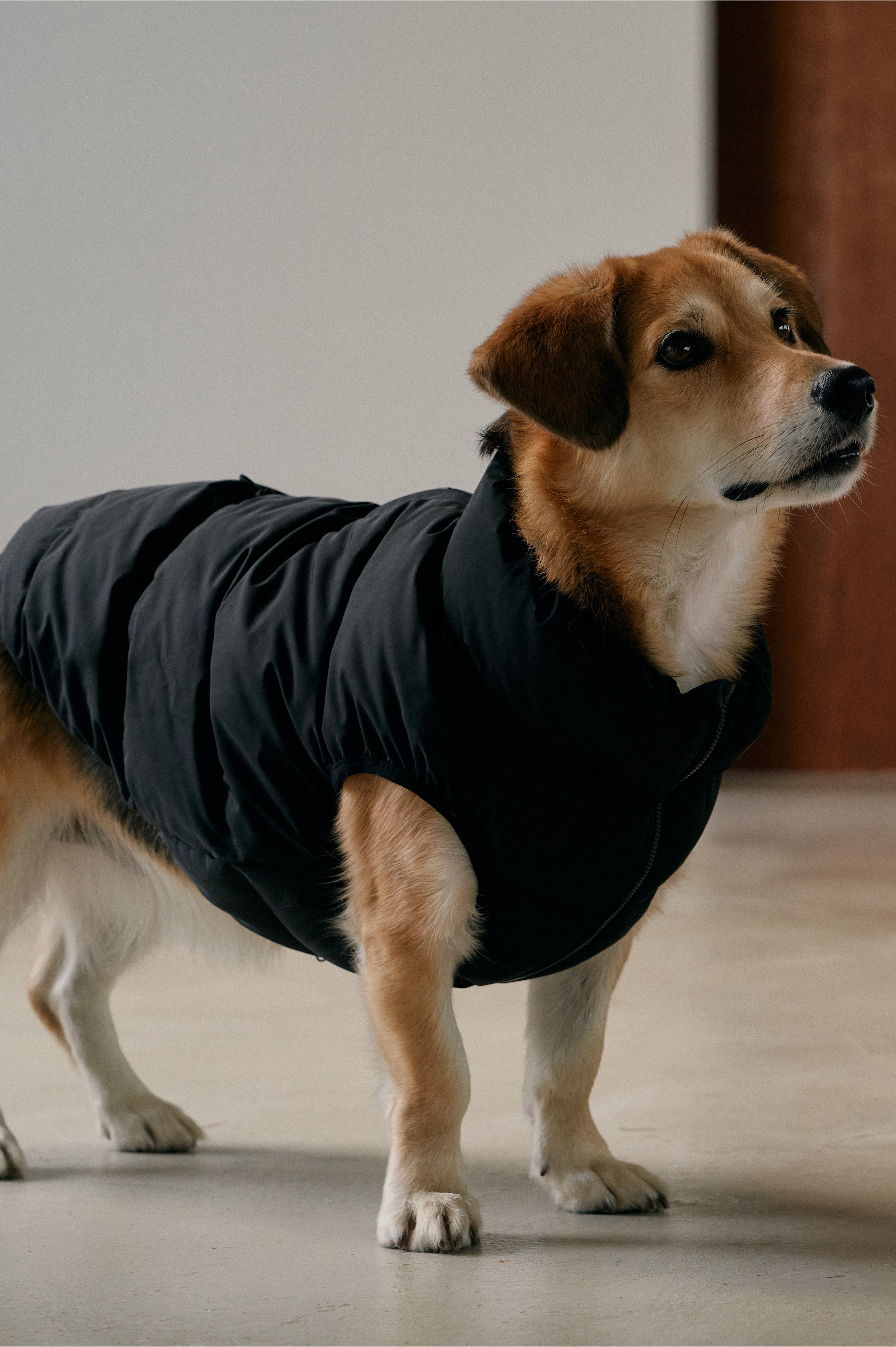 CushyCushy CUSHY PUFFER VEST ブラック サイズ8 Cushy Puffer Vest - Pure Black